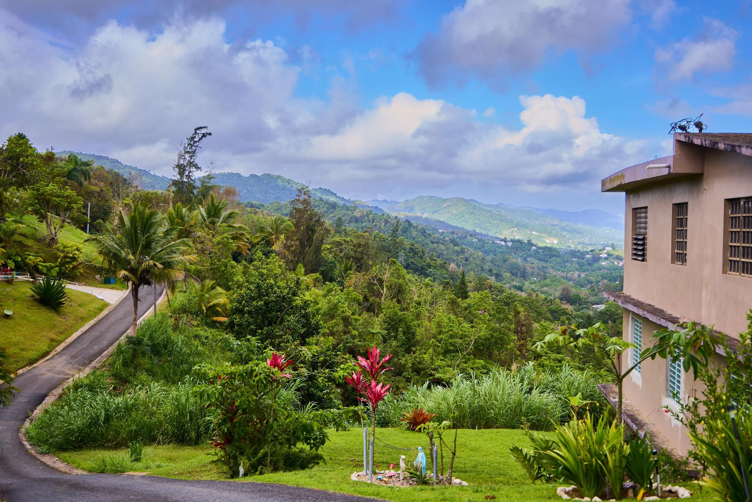Lush green hillside with tropical plants and flowers, a winding paved road, and a beige building with small windows and a satellite dish, set against a backdrop of rolling hills and a partly cloudy sky.