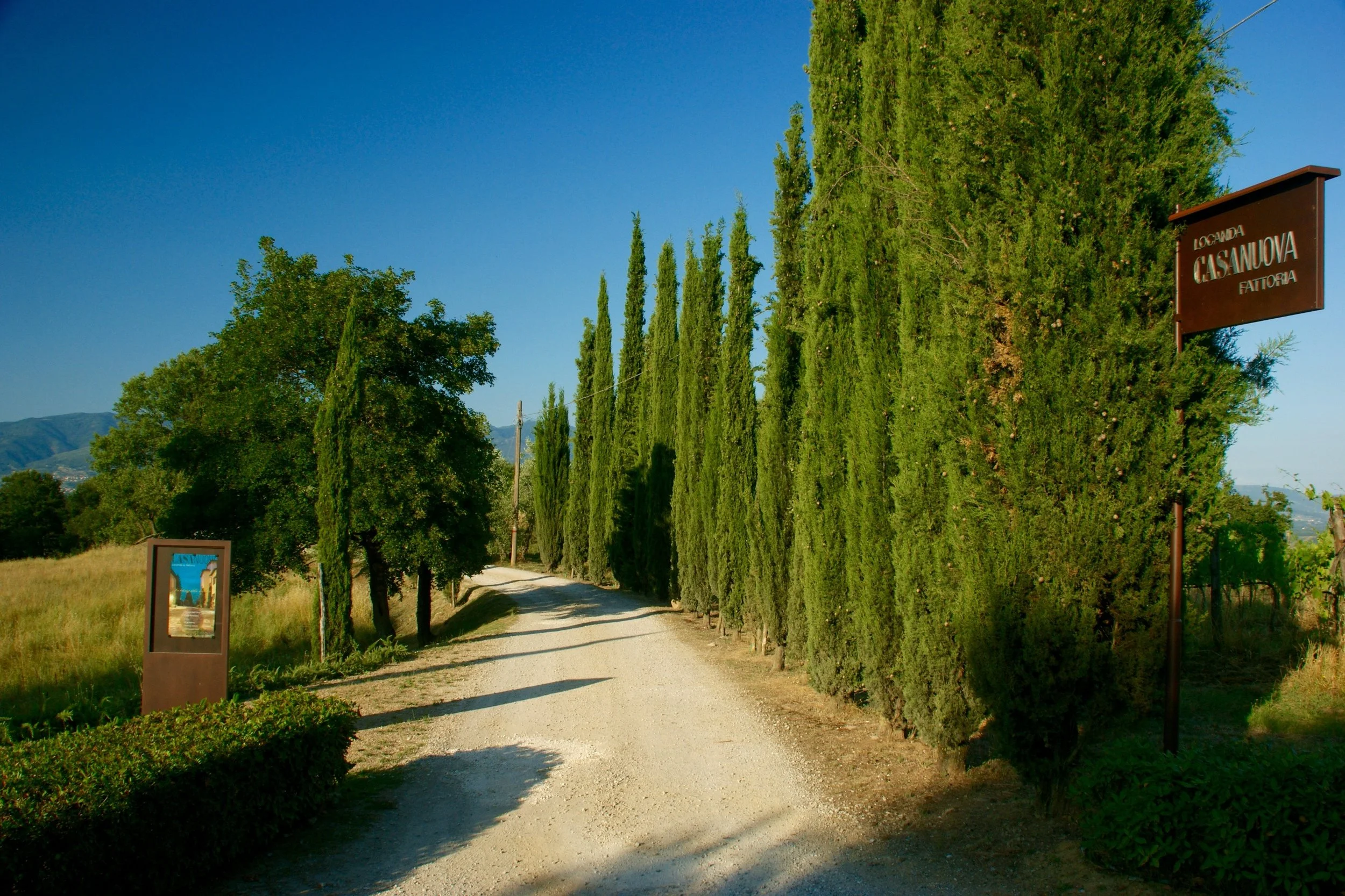 Just do yoga. En Toscane.
