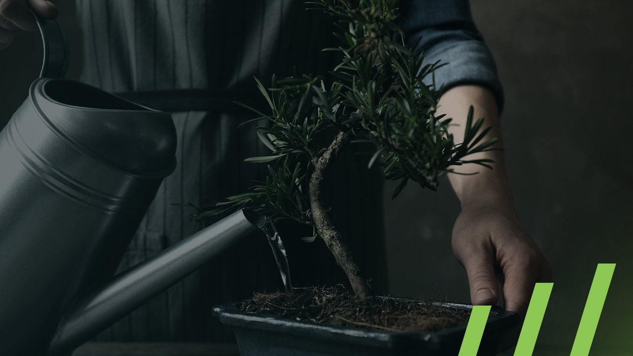 Focus on tax optimization, not tax minimization