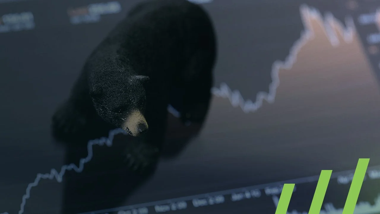 The Bear Market in Bonds: Short-Term Pain, Long-Term Gain