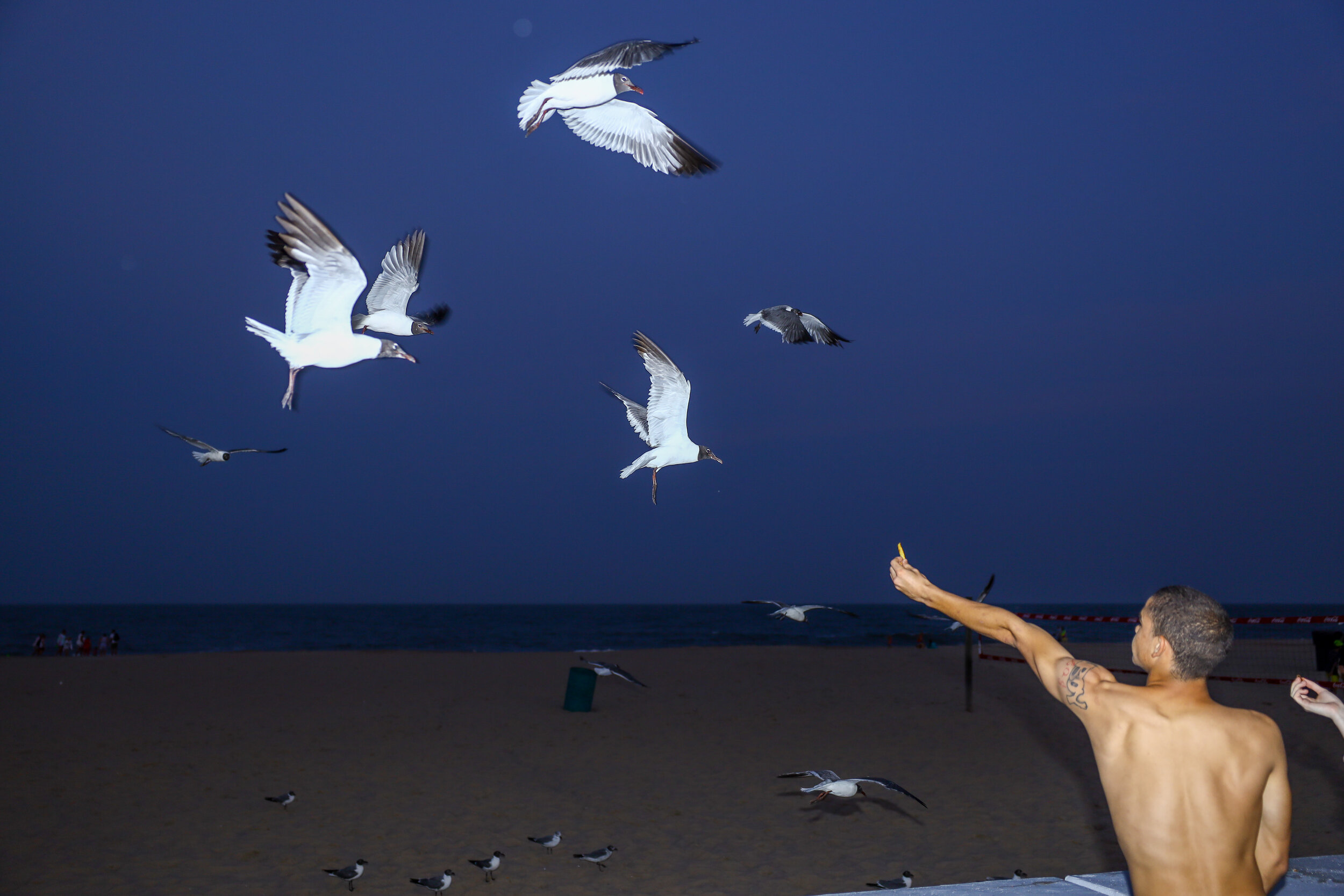 A man feeds seagulls on the boardwalk in Ocean City, Maryland on Monday, July 26, 2021.