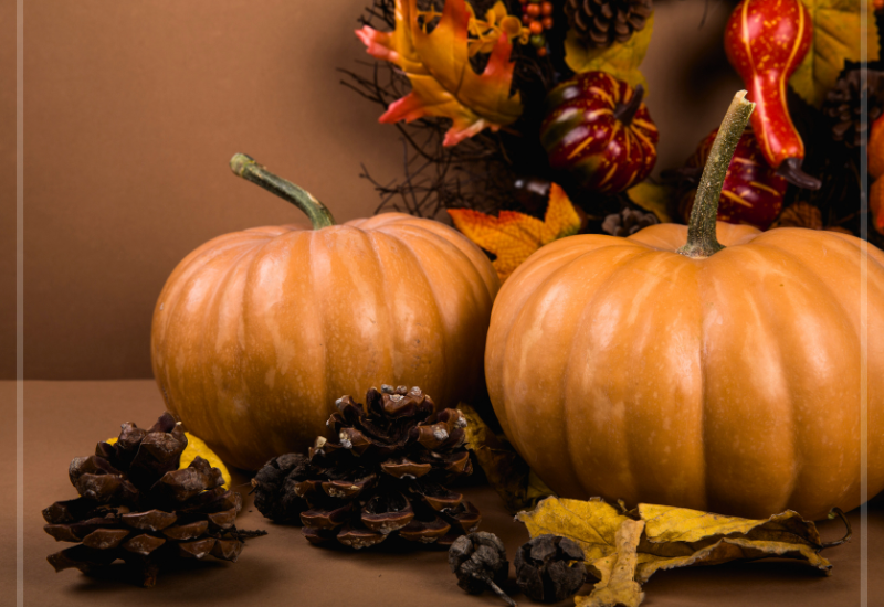 Thanksgiving Day - November 26