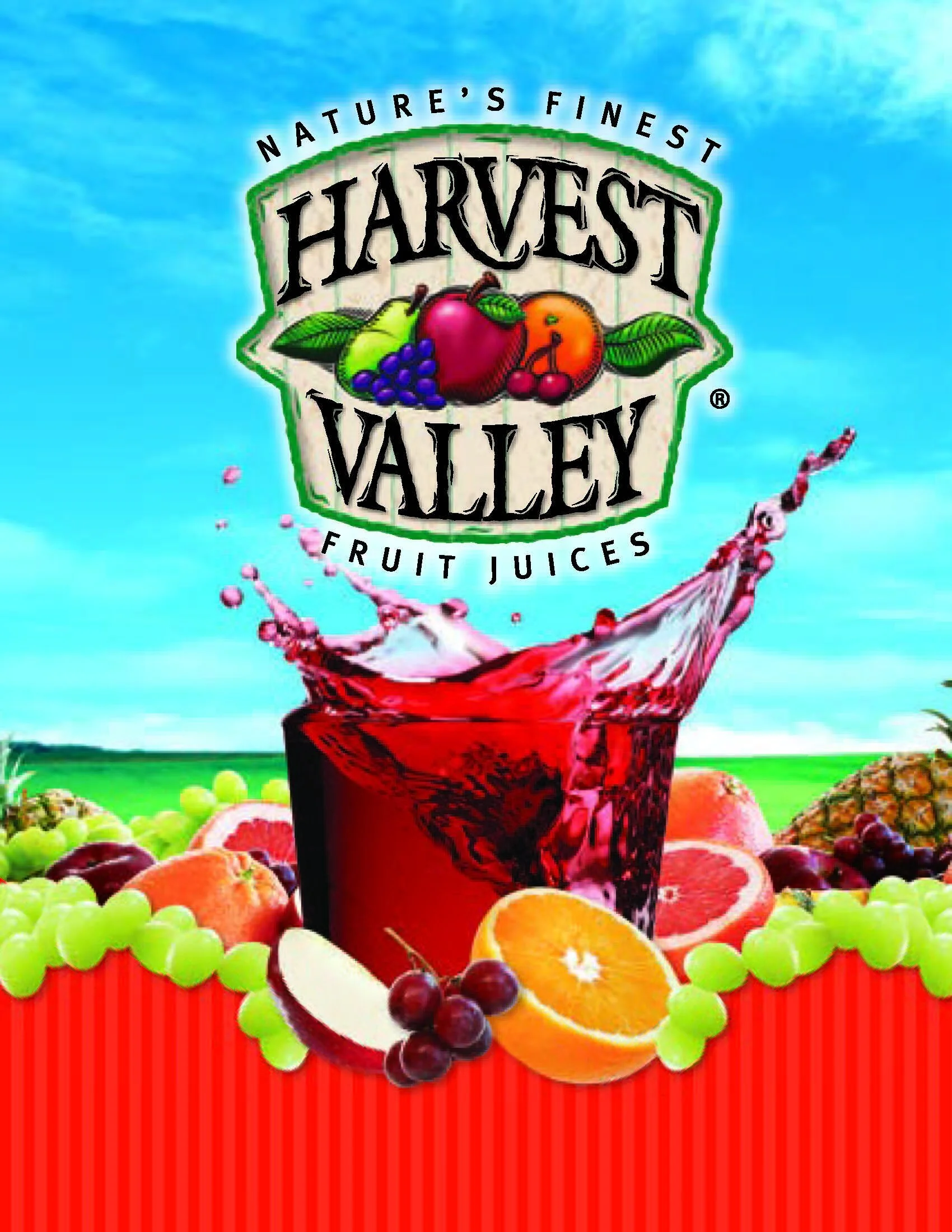 Education — InnoServ