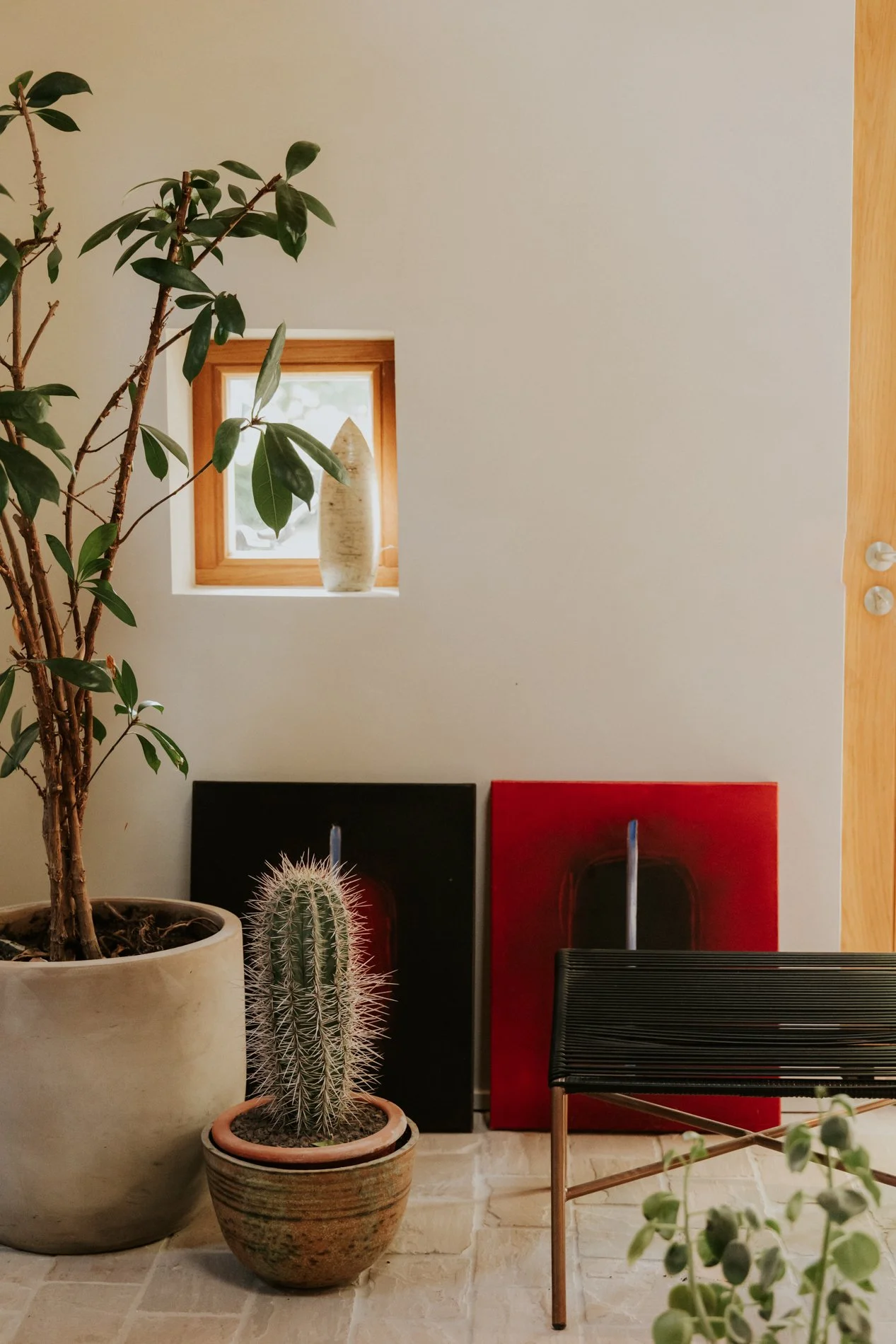 Interieur met grote planten, waaronder een olijfboom en cactussen, muur met kleine raam en kunstwerken eronder.