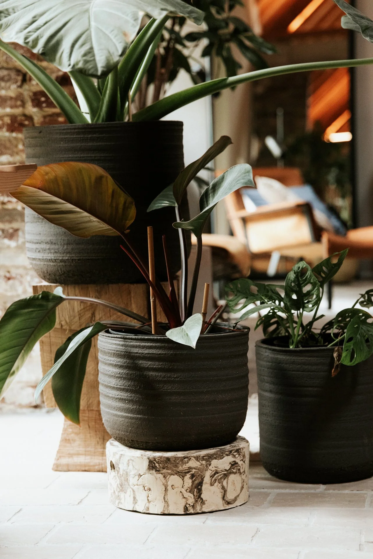 Bloempotten in een leefruimte zwart gekleurd met planten in.