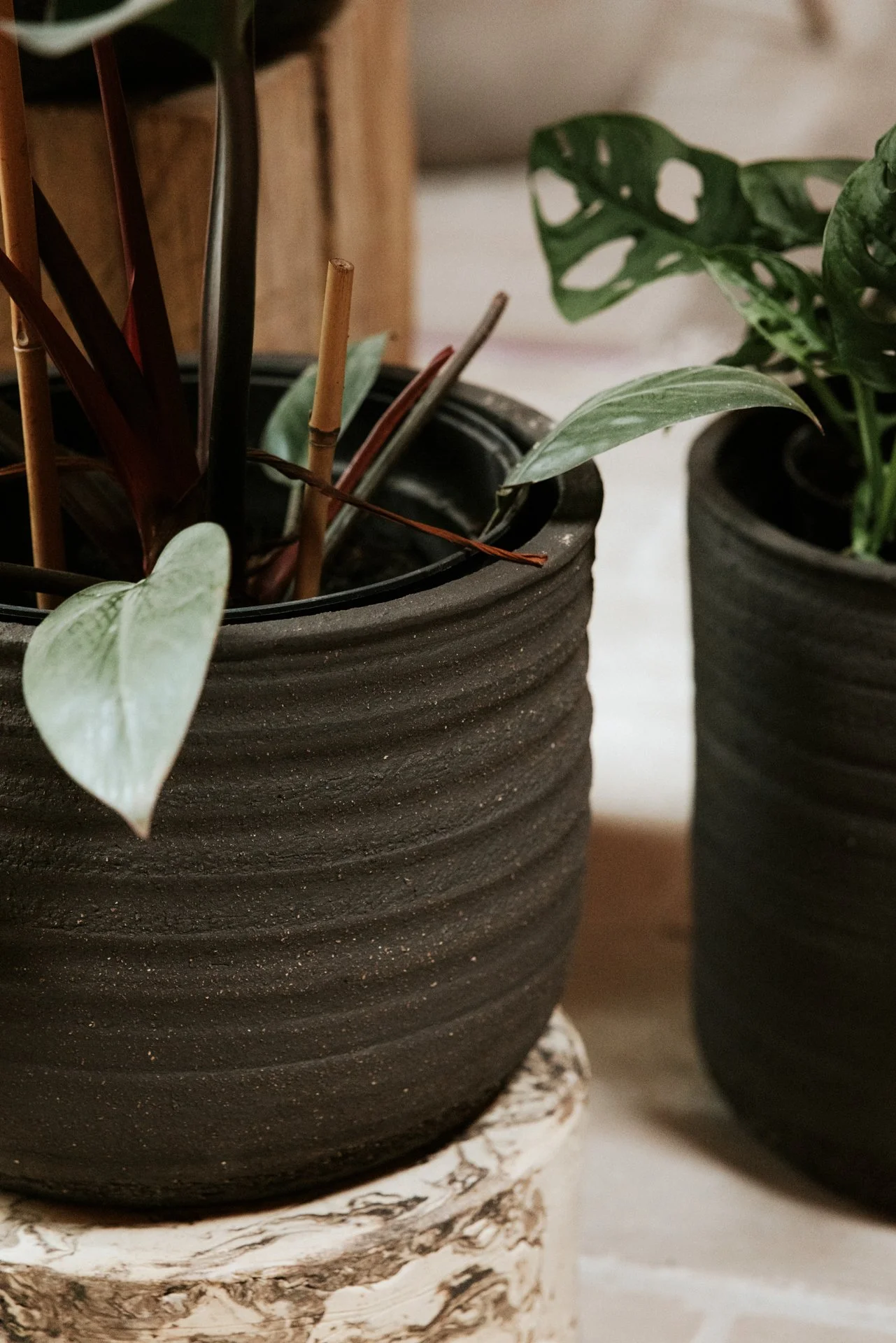 Twee zwarte plantenpotten met groene bladeren op een tafel.