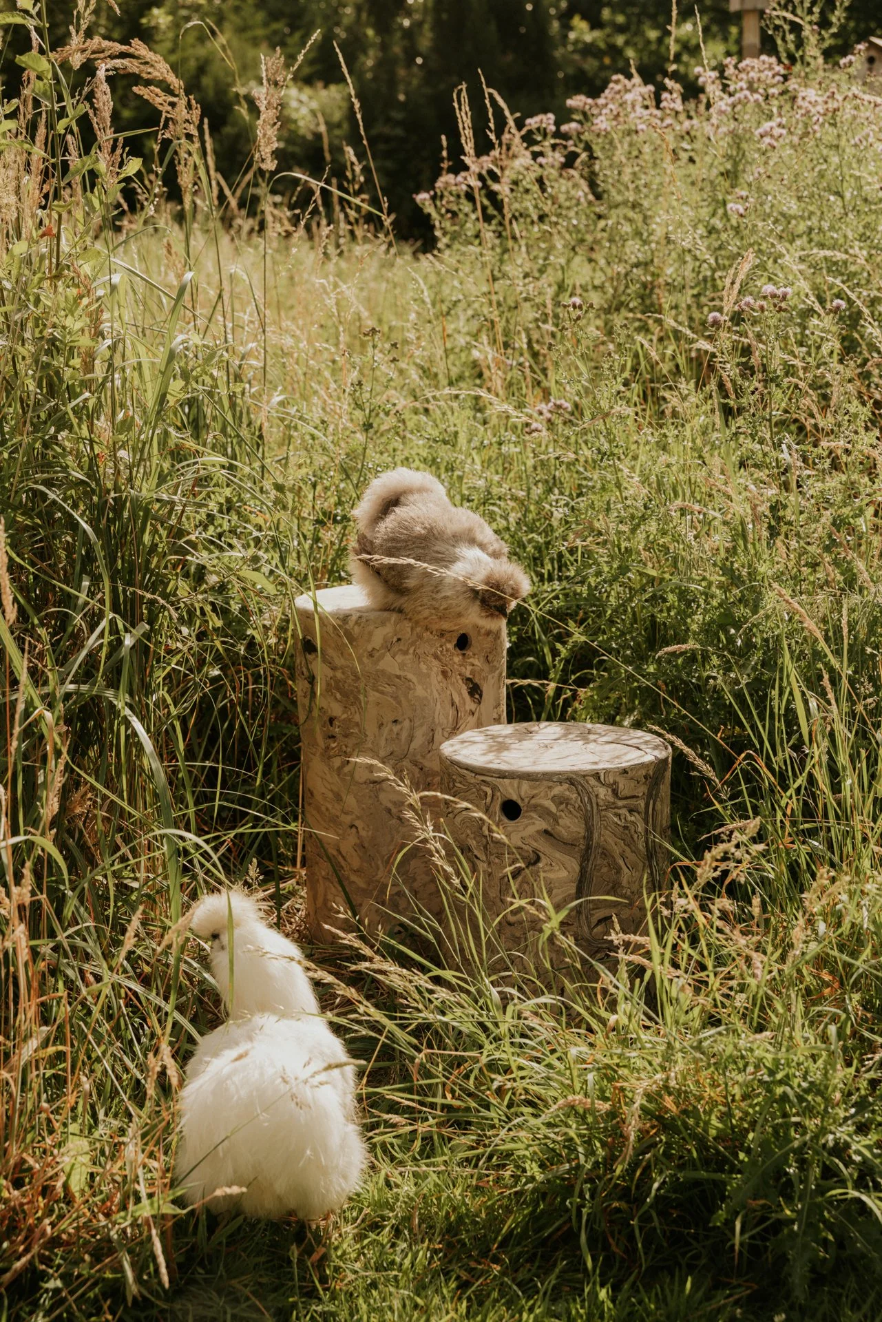 Drie wollige jonge kippen in een weelderig grasveld met wilde bloemen, dicht bij geschilderde boomstammen, omgeven door groene planten en struiken.
