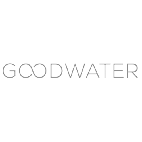 Healthcare Technology and Service Leadership Pager