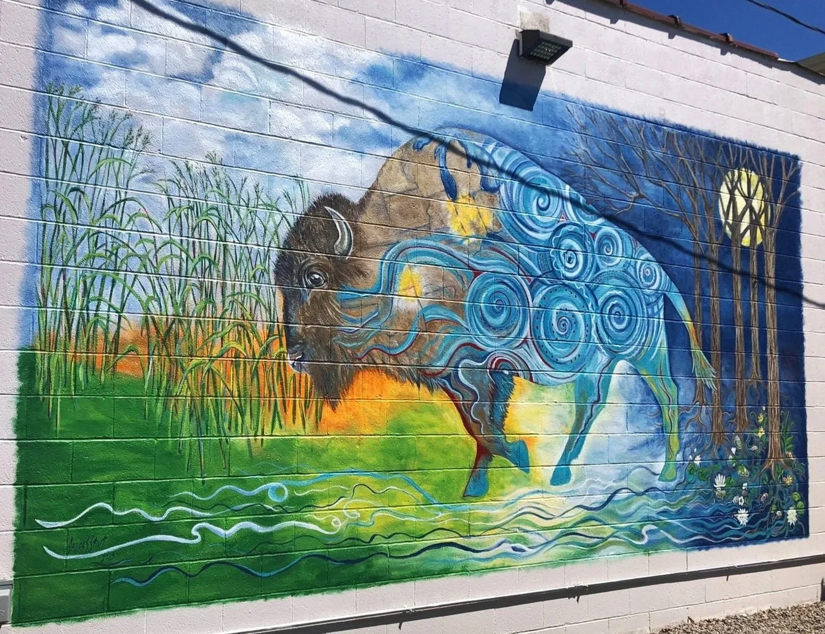 Lenaswa Waayaahtanonki (Bison of the Whirlpool from the place of the Wea.) 10.5'x 20'. Pittsburg, KS. 2023.