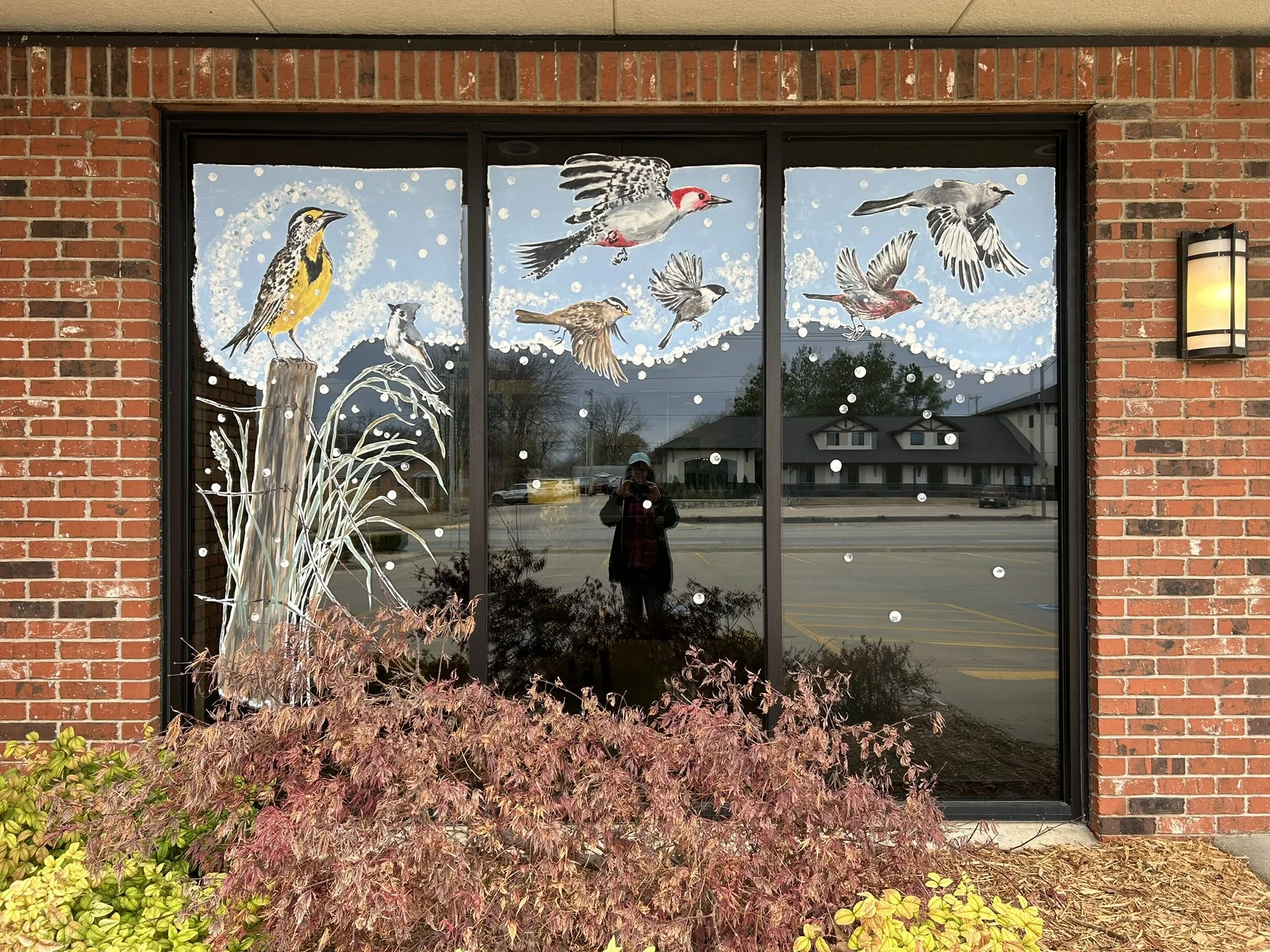 South window with Eastern Meadowlark, Tufted Titmouse, White-Crowned Sparrow, Red-Bellied Woodpecker, Carolina Chickadee, Purple Finch, Northern Mockingbird. 2.5'x10'. First National Bank North Branch, Miami Oklahoma. 2025.