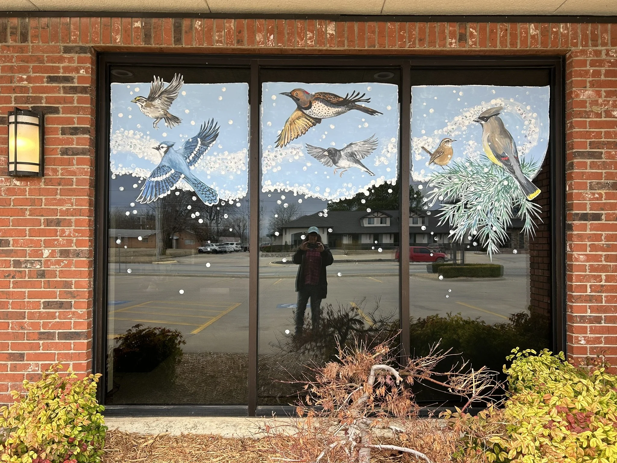 North window with White-Throated Sparrow, Bluejay, Northern Flicker, Dark-Eyed Junco, Carolina Wren, Cedar Waxwing. 2.5'x10'. First National Bank North Branch, Miami Oklahoma. 2025.