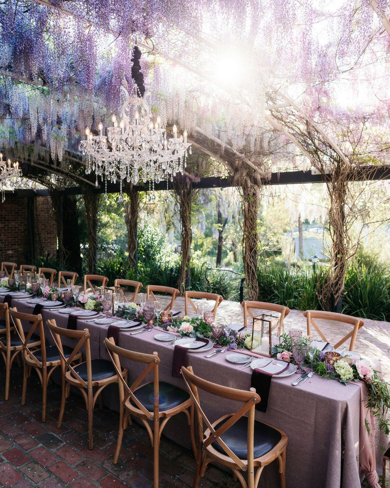 @pottersreceptions in the spring is a breathtaking sight.  Sitting beneath the blooming wisteria as the sun creeps in is an enchanting experience. I&rsquo;m already dreaming of those nights. 
.
.
.
.
Chandeliers @actioneventstheming 
Photography @ric