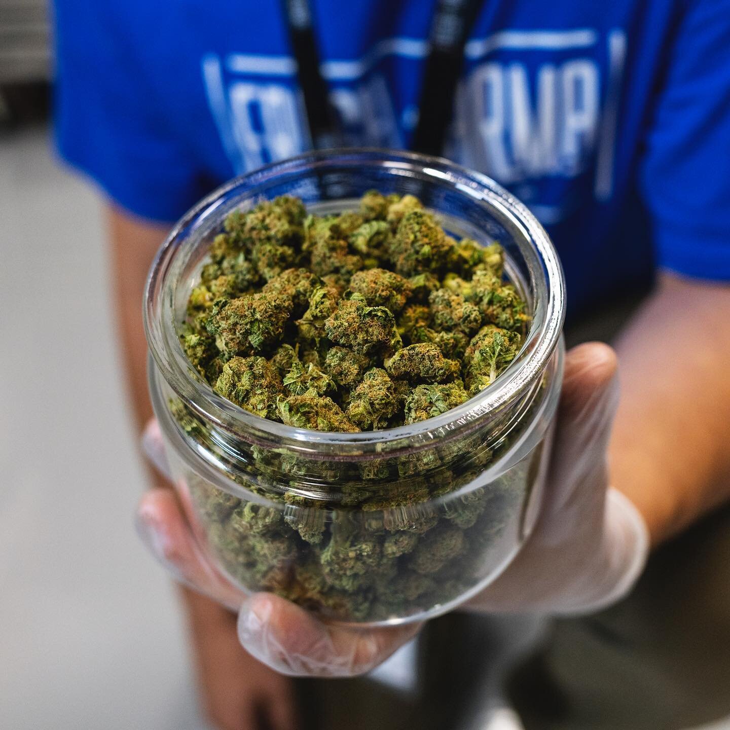 Not sure what you need? Our Budtenders are always here to help. 

#freshkarmakc