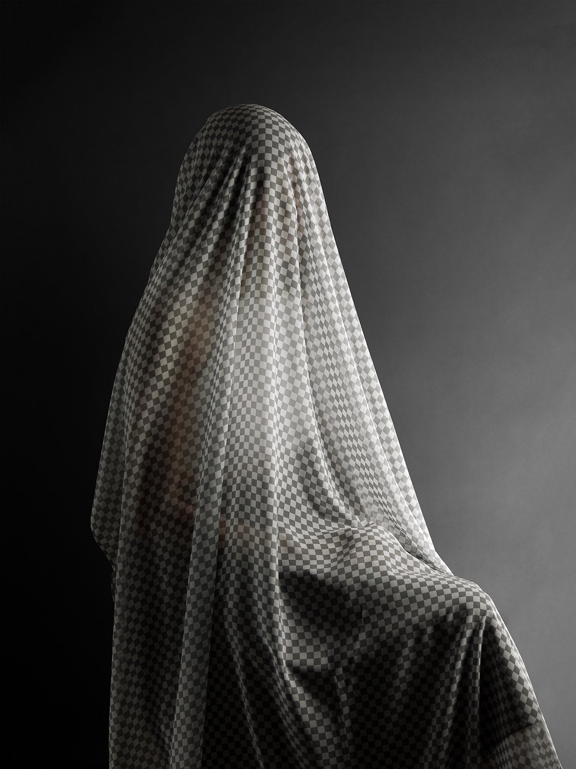 Stephanie Syjuco Total Transparencies Portrait of N.jpeg