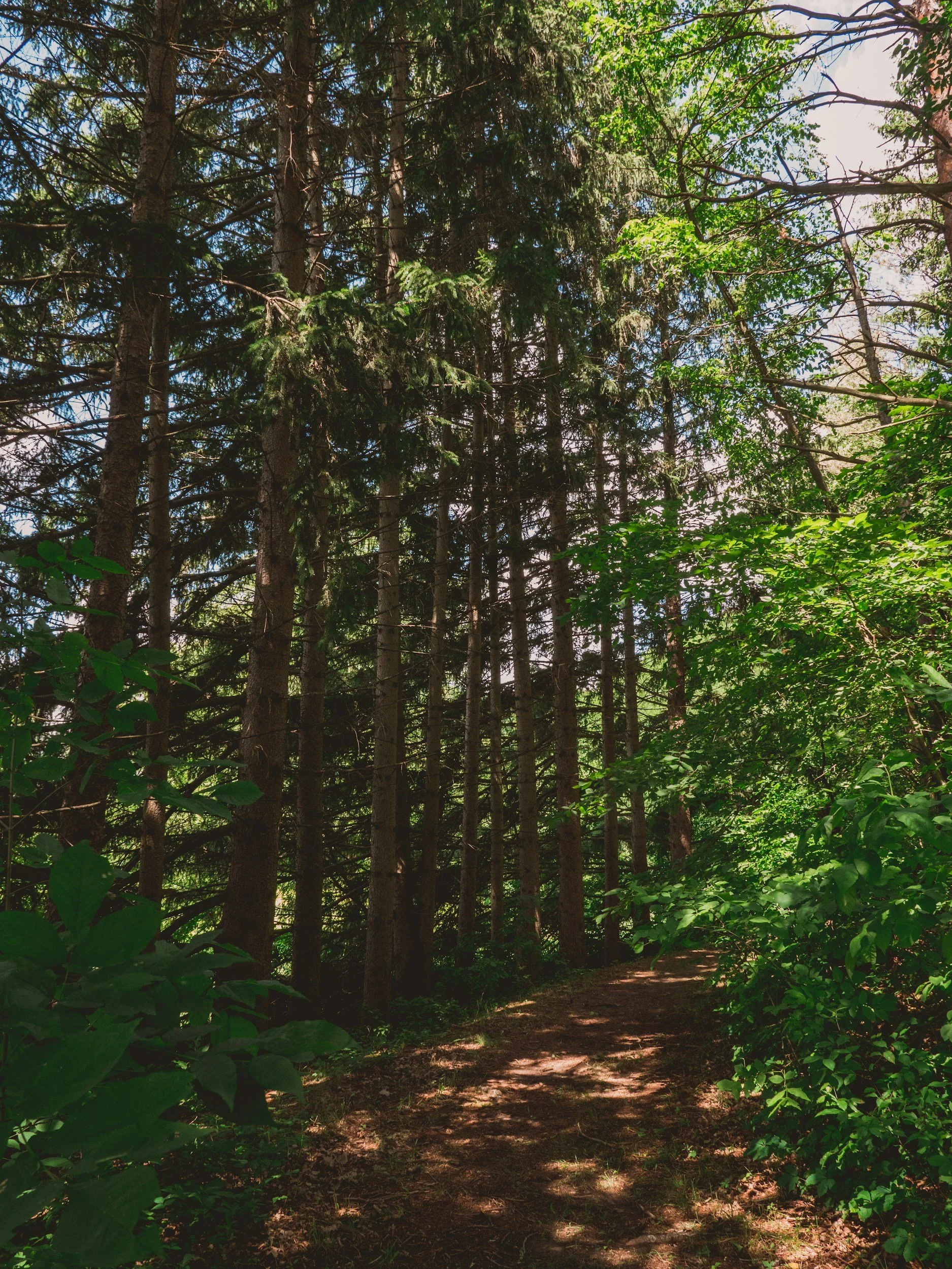 unsplash-image-lbBOSUyD0zs.jpg