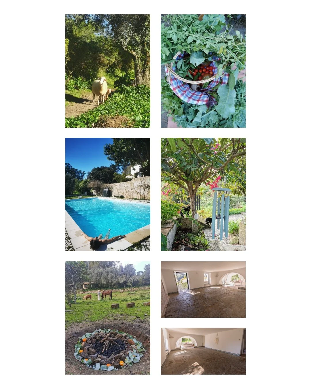 A peaceful day at the farm.jpg