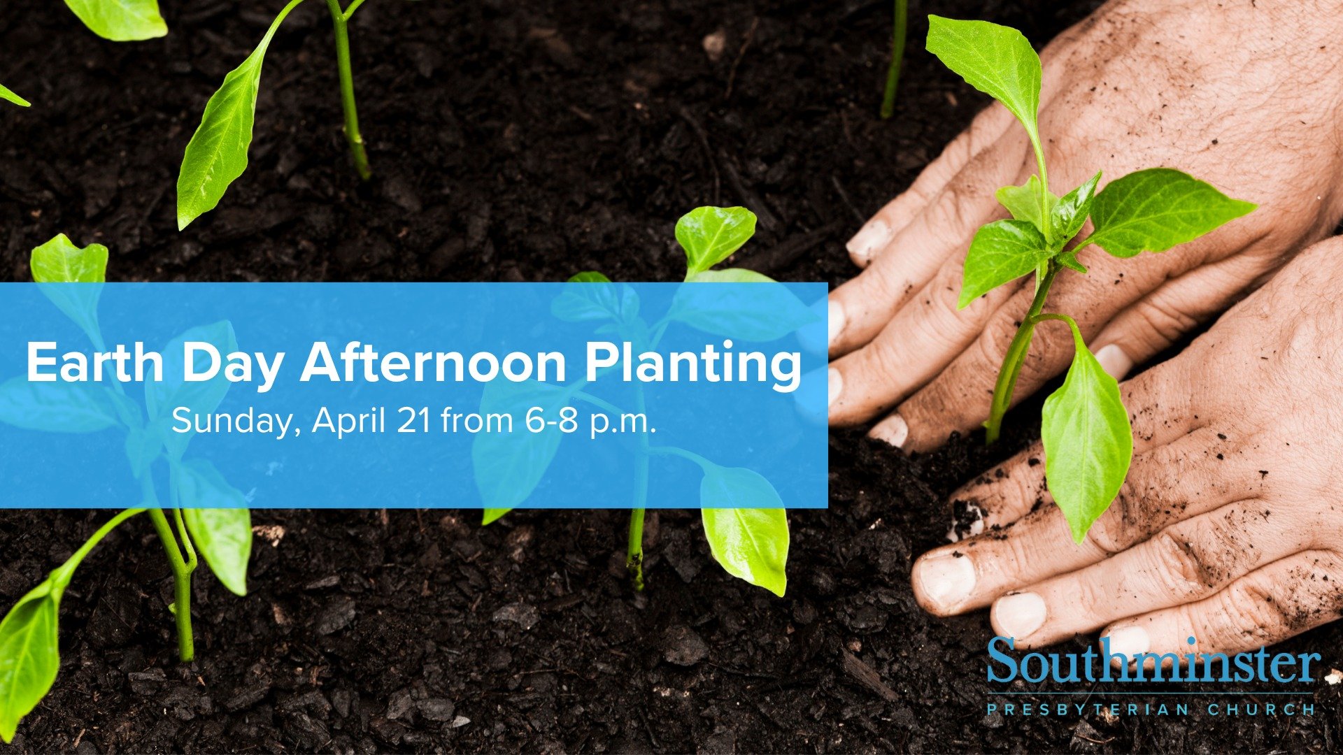 Join us this Sunday from 6-8 p.m. at our Earth Care planting event at the Southminster Community Garden. We'll be planting new additions to our garden and honoring our commitment to care for creation. This event is perfect for anyone looking to make 