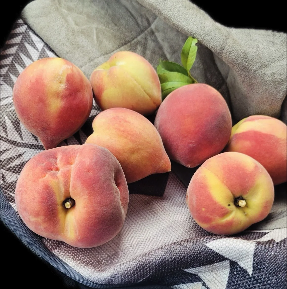 There is a particular grace in timing that we did not orchestrate and could not have planned: the orchard @southminstertulsa is bearing its first fruit in the very season that the hands who planted it are welcoming new life into their family. 
We giv