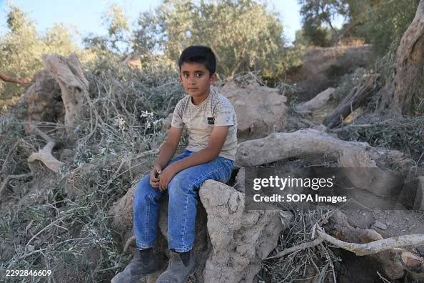 gettyimages-2292846609-594x594.jpg