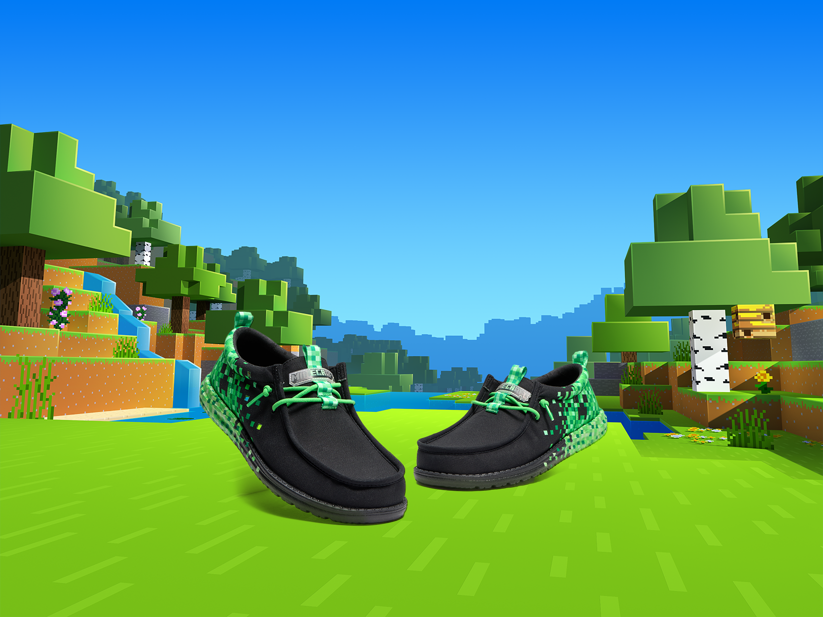 BIOME_ADULT_4x3_2.png