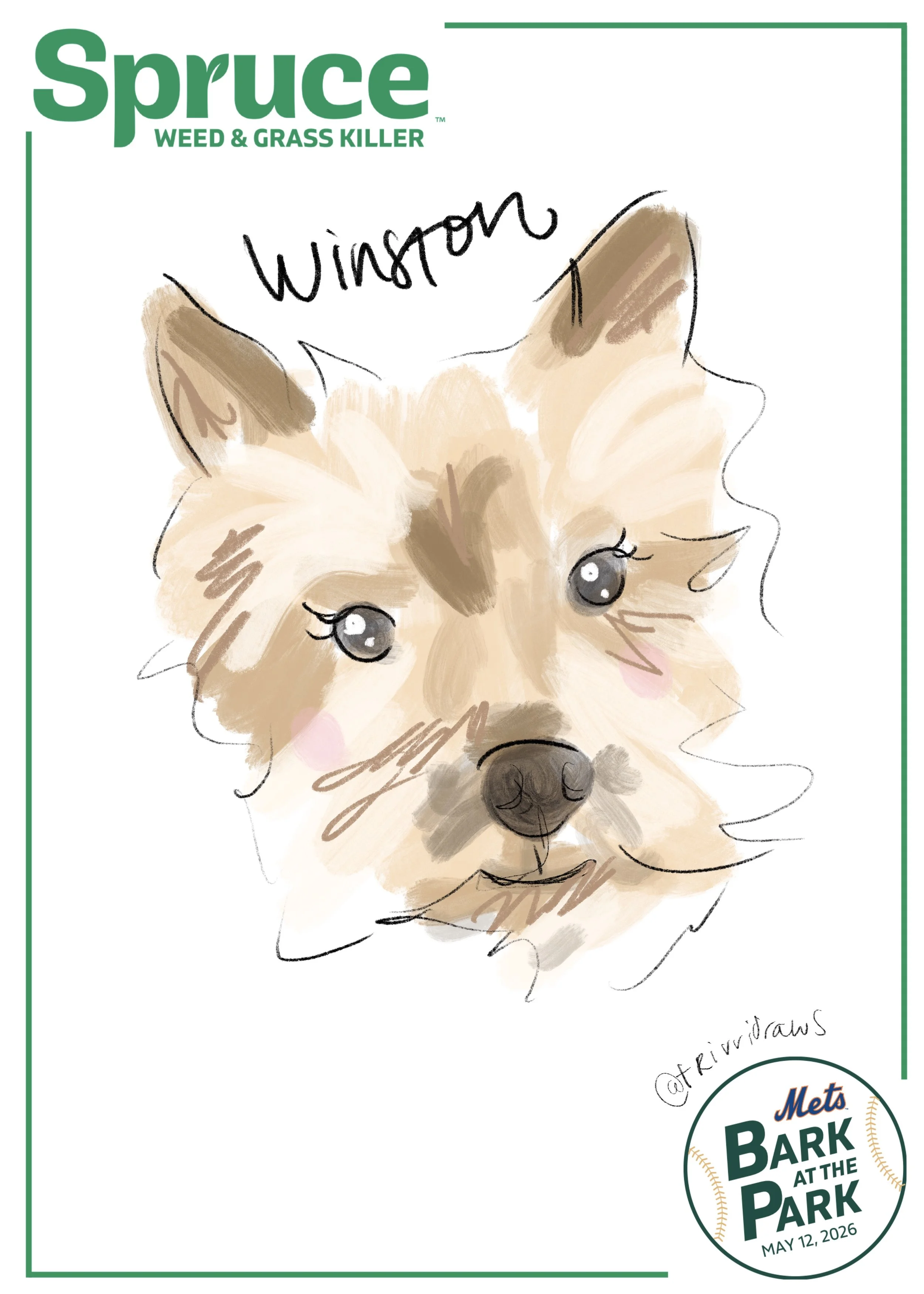 Bark in the Park Mets game, live pet portraits created by artist Trivvidraws. 