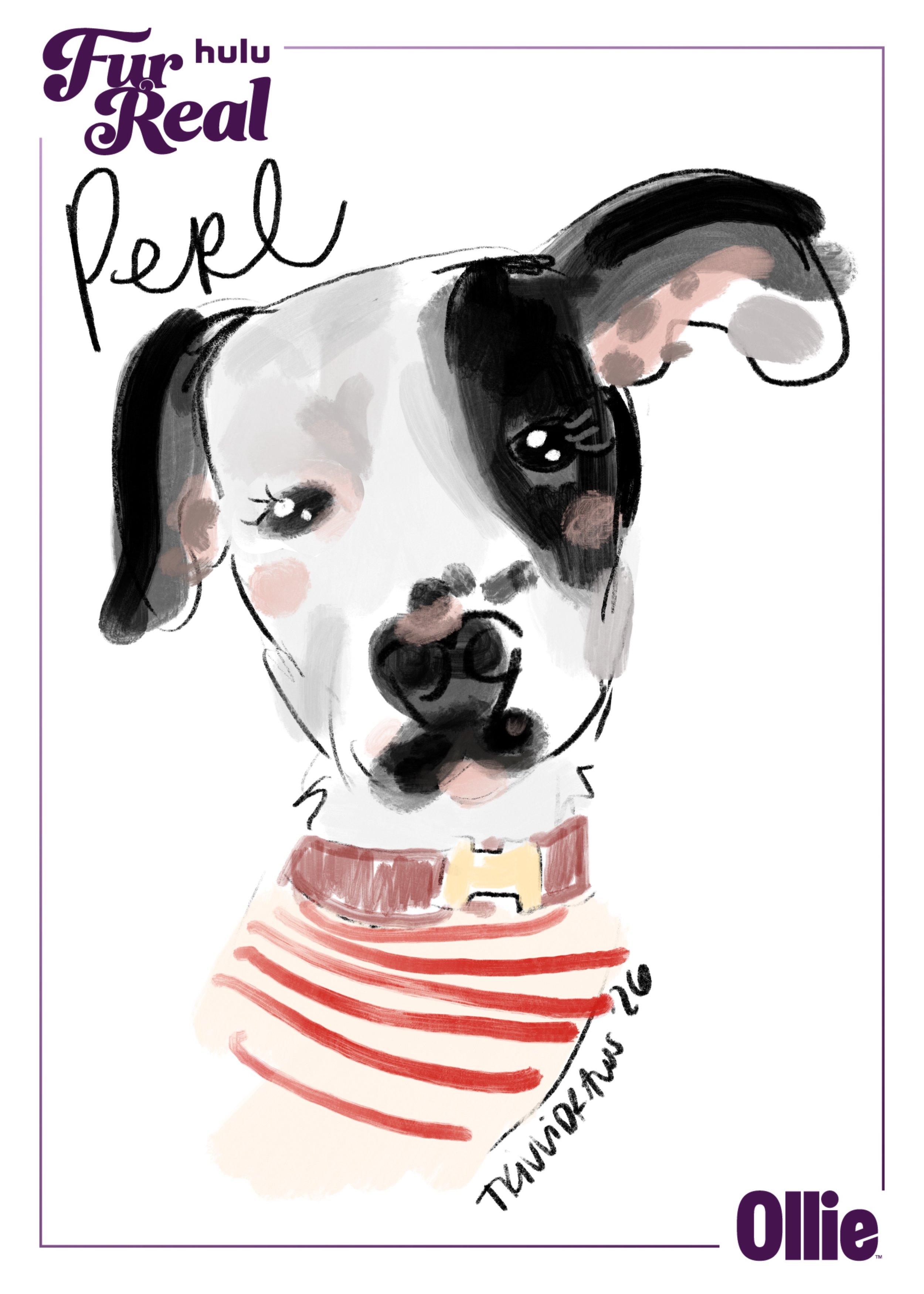 Perl dog portrait for the Hulu Get Real event in LA. Sponsored by Ollie