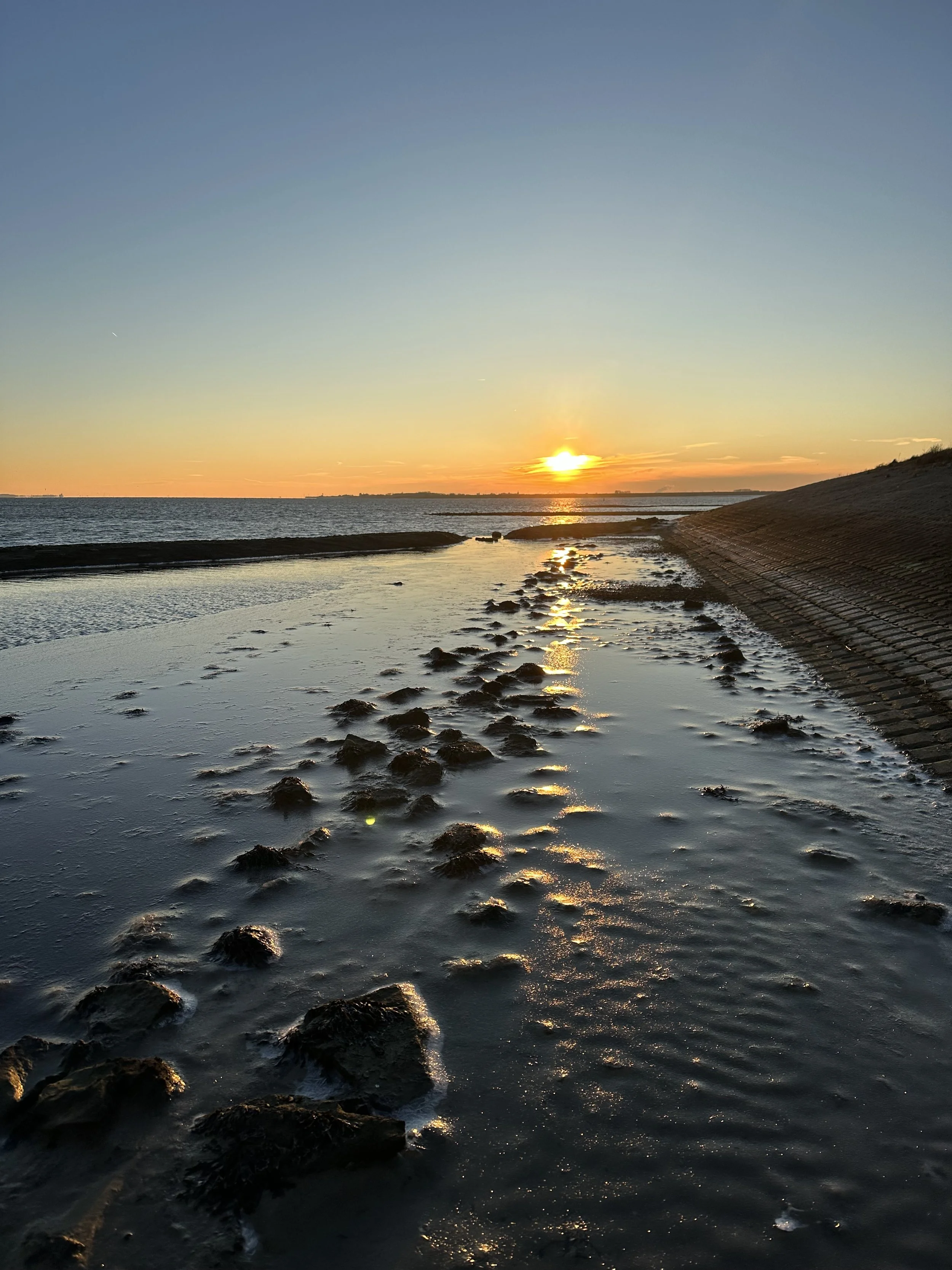 04/01/26 wildplukles kort KUST - Oosterschelde
