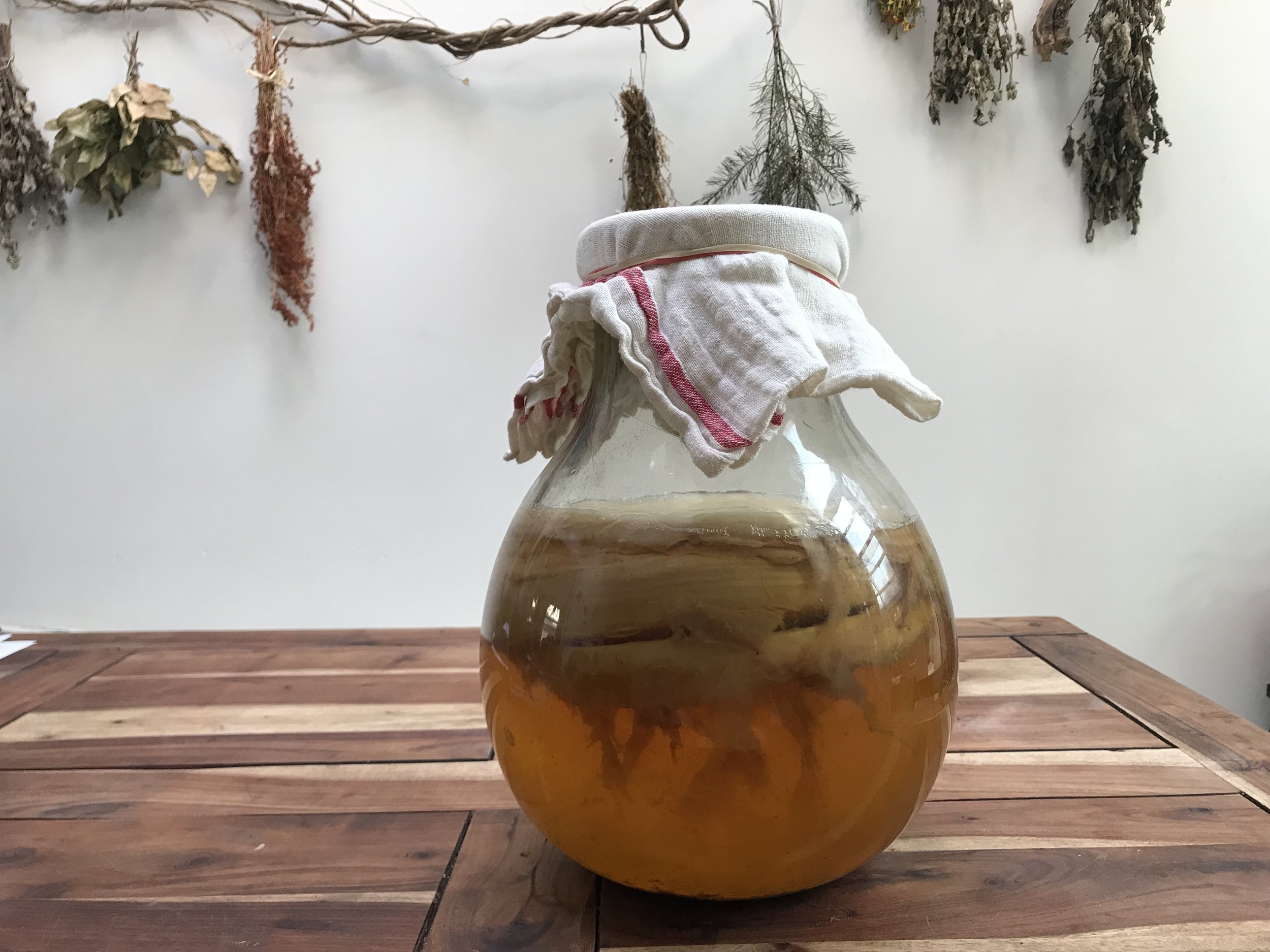 kombucha2©LesOdettes.jpeg