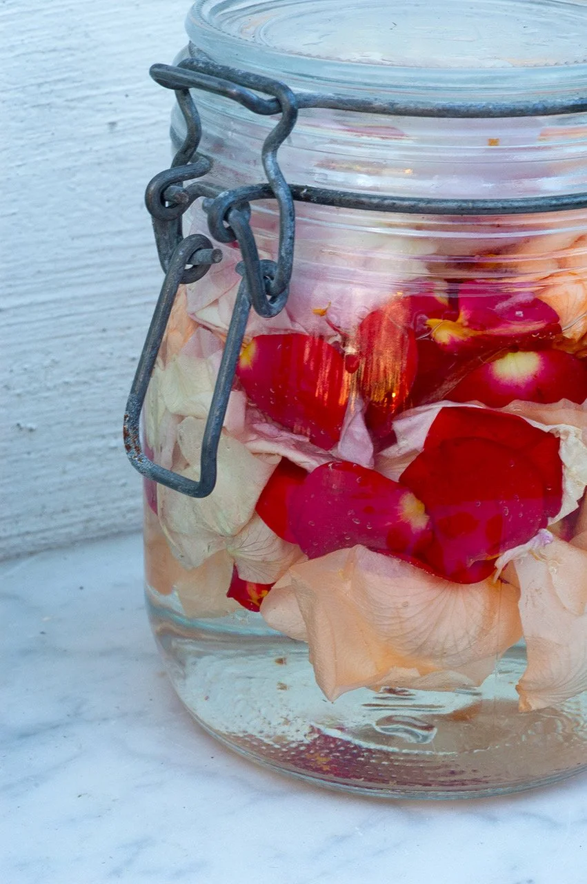 9/1/27 WINTER - Seasonal Herbal Practice