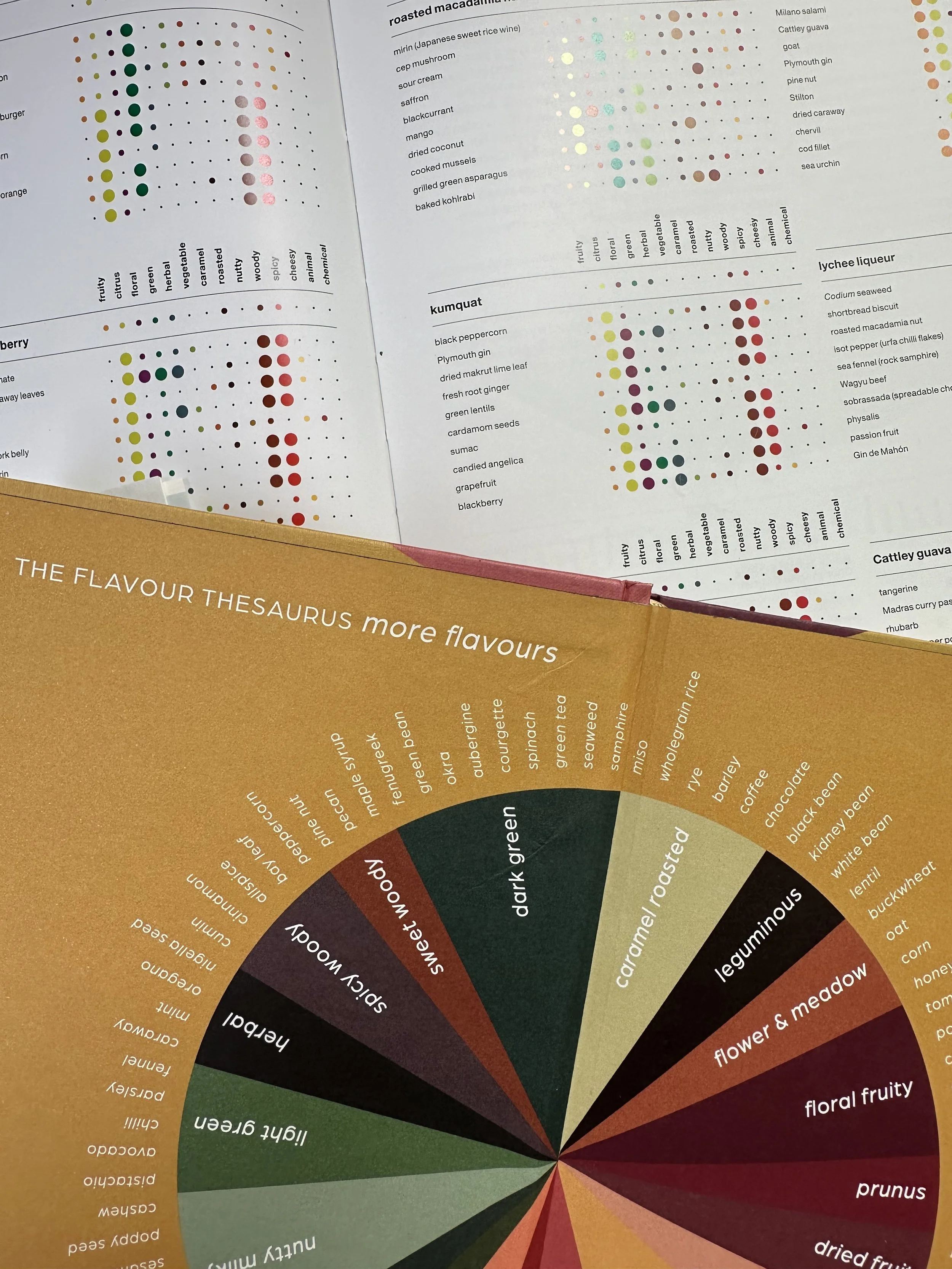 19/1/26 beter leren proeven