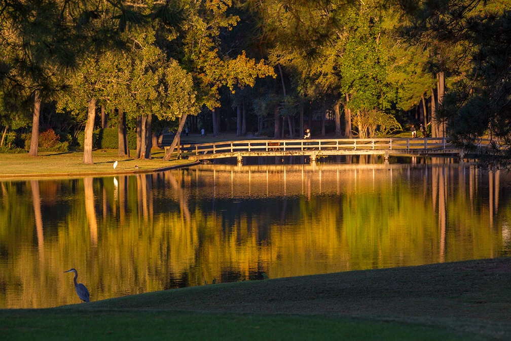 Kingwood — Generation Park