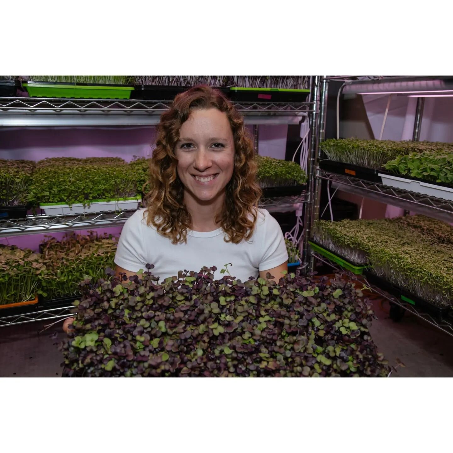 Urban farming right in the heart of New Braunfels! Check out @shookfarm for a variety of microgreens available for delivery and for purchase at @newbraunfelsfarmersmarket Thank you Sarah for allowing me to capture you and your yummy greens. 🌱
.
#mic