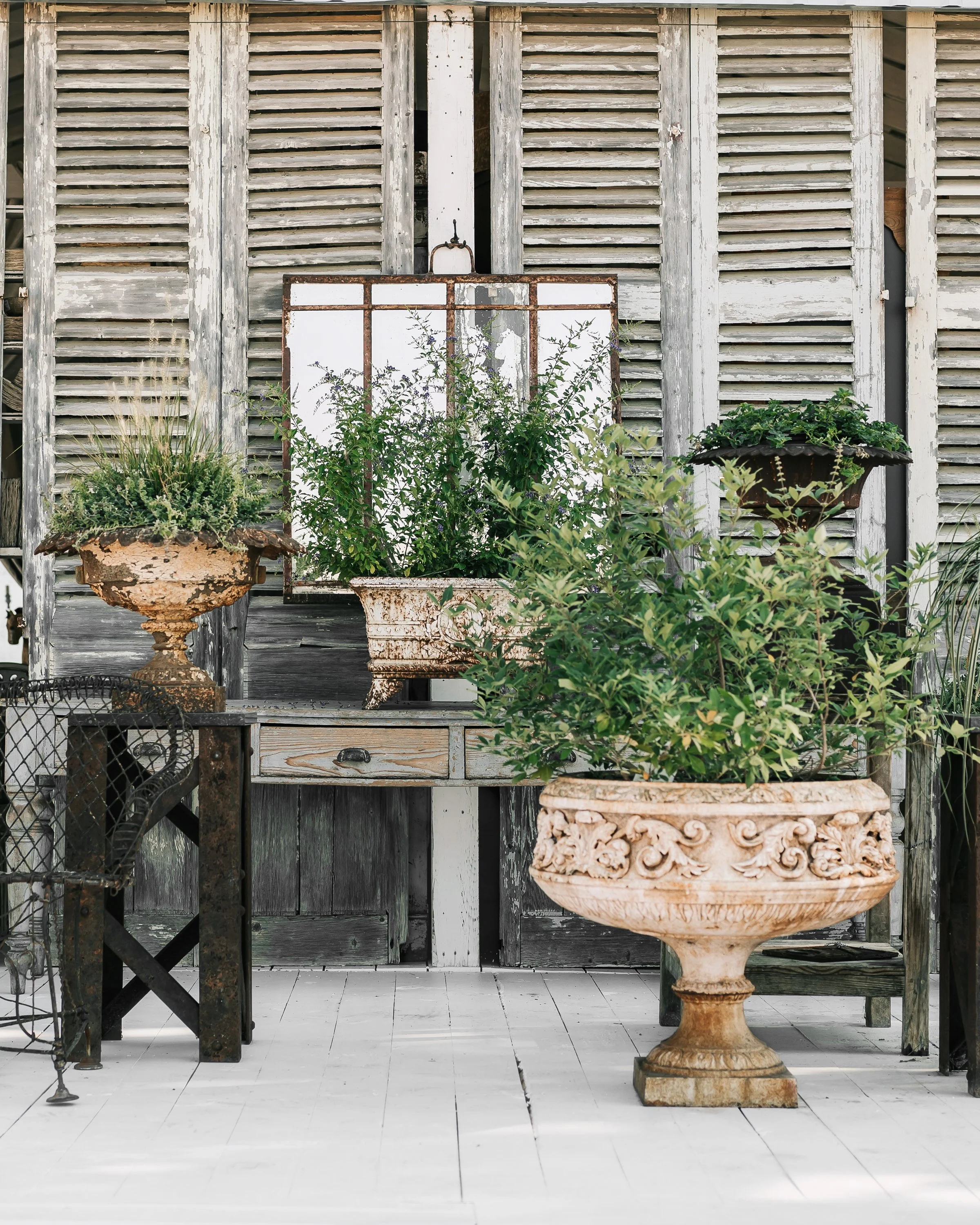 Garden Expert Items - 3.jpg