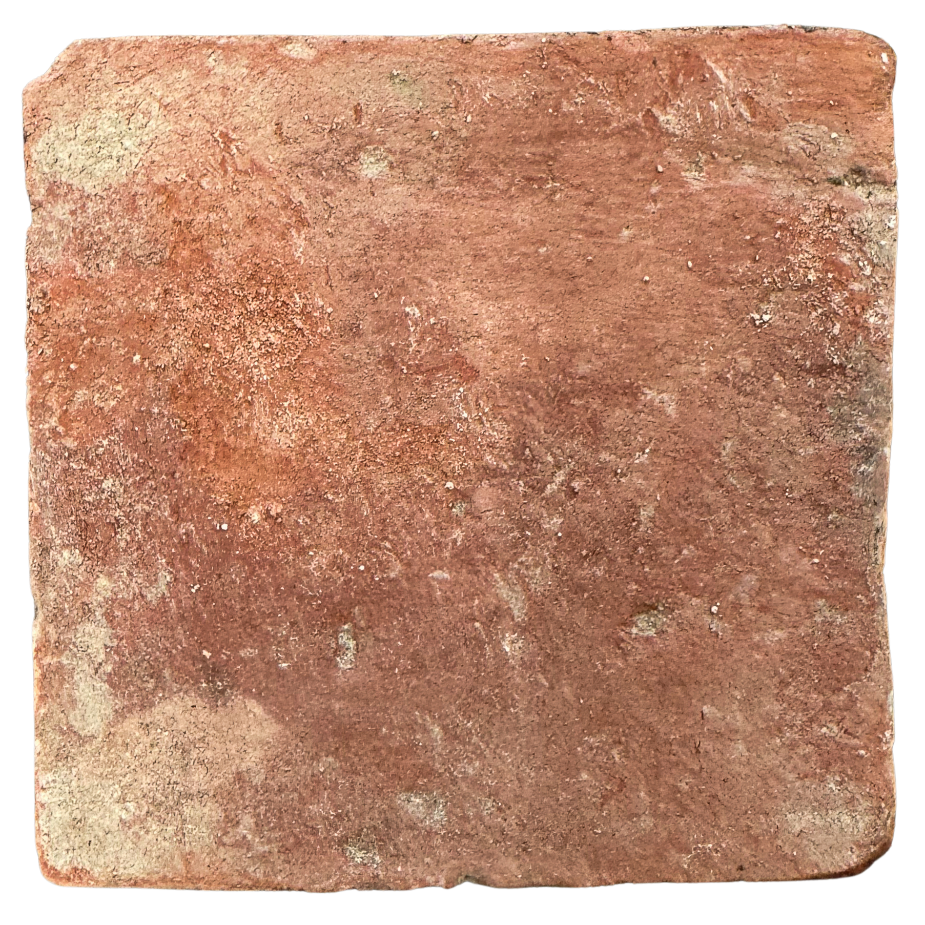 da7eba55-82c8-40a8-9423-4cf9ce6d5a85.png