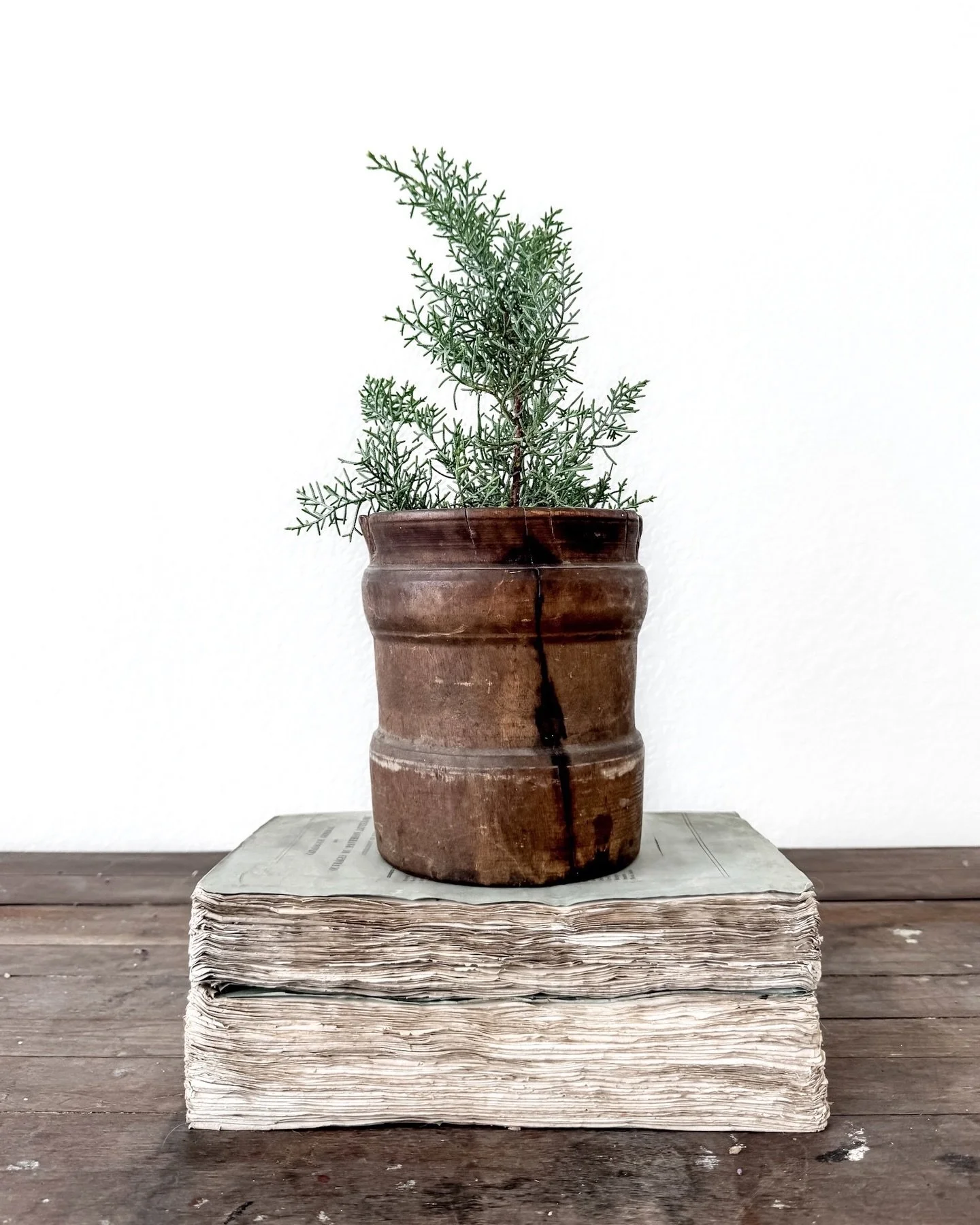 [Available] This old Swedish mortar, crafted in the early 1700s, is a remarkable piece of history made from hand-carved hardwood. Its thick walls and softly rounded shape showcase years of use, with nicks and scratches that tell stories of its past l