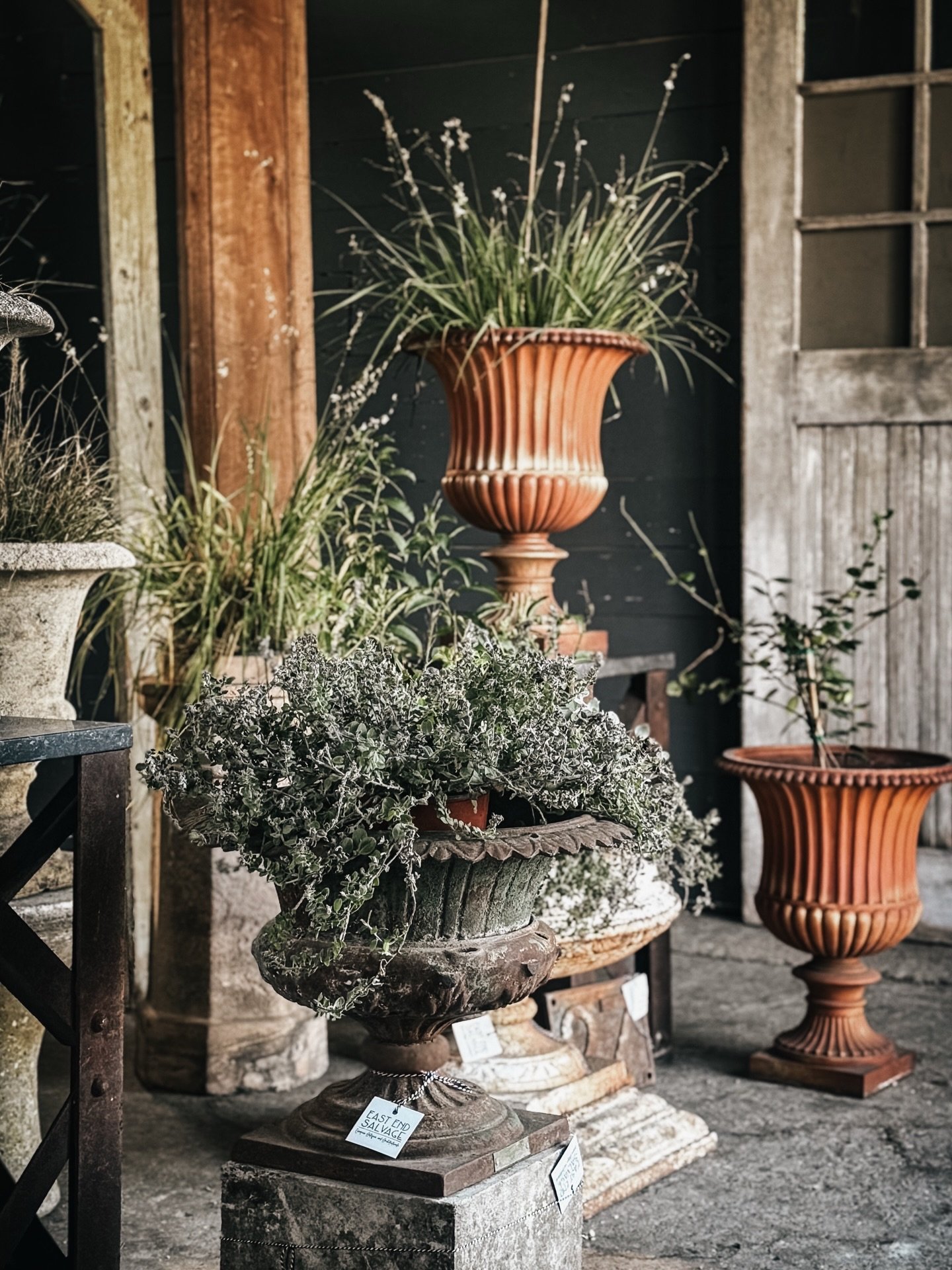 A look inside our historic barn, showcasing the last remaining treasures from this year&rsquo;s collection.

A collection of planters presents a striking juxtaposition: Parisian cement urns elegantly displayed on industrial cast iron pedestals with s