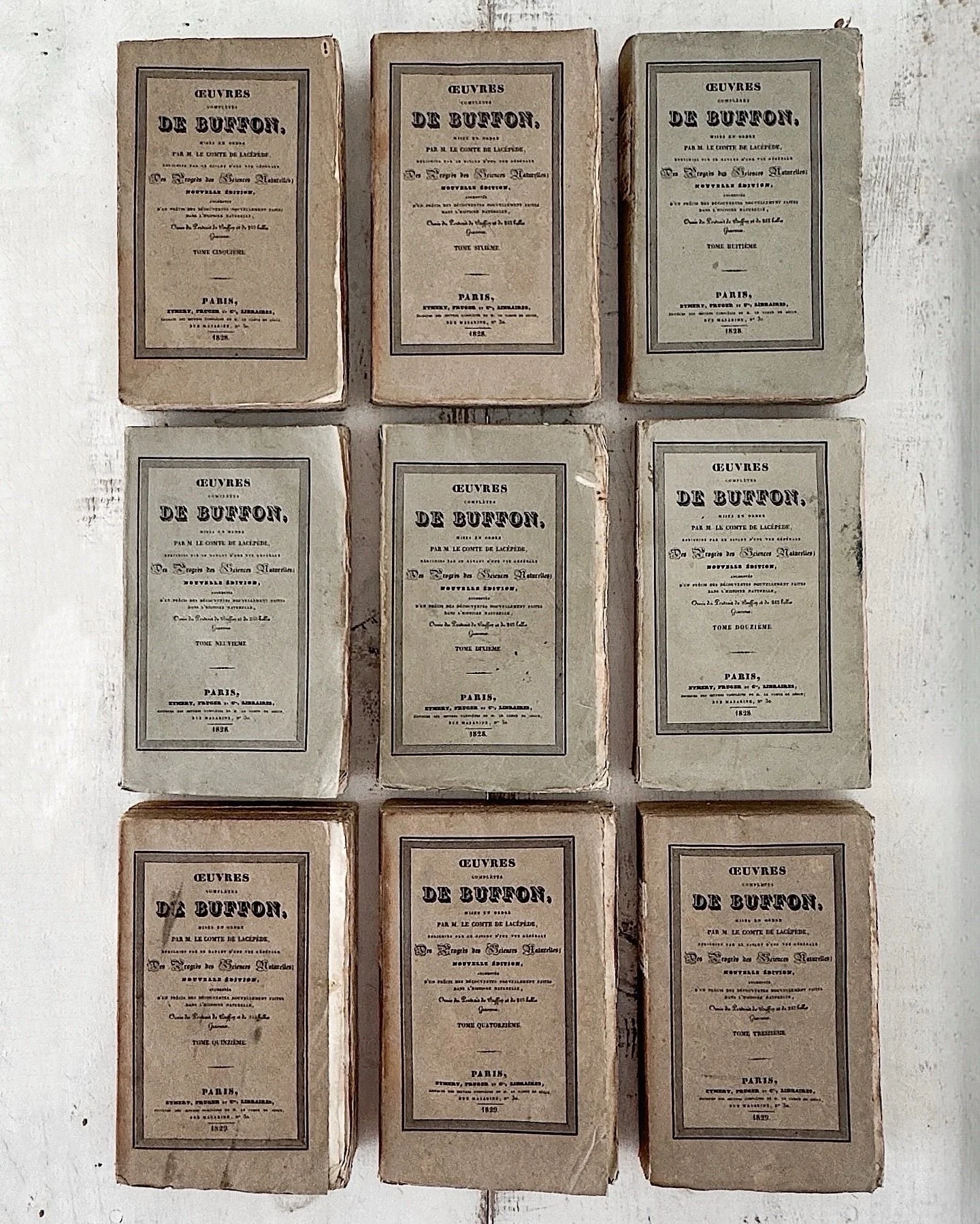[Available] Straight from the Paris presses of 1829&hellip;

𝘼 𝙛𝙪𝙡𝙡 𝙨𝙚𝙩 of Buffon&rsquo;s Natural History, printed on rag paper and wrapped in well-worn wisdom. Clay-colored spines, crinkled corners, and two centuries of stories between the p