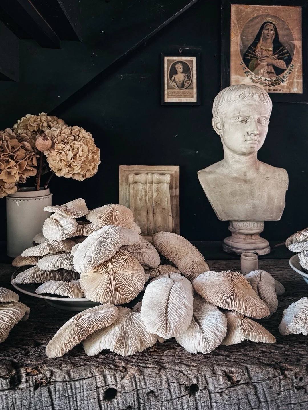 One of the greatest privileges of traveling through Europe is occasionally being invited beyond the front door.

While in Provence, I had the opportunity to spend an afternoon in the home of photographer @joannamaclennanphotography and artist, antiqu