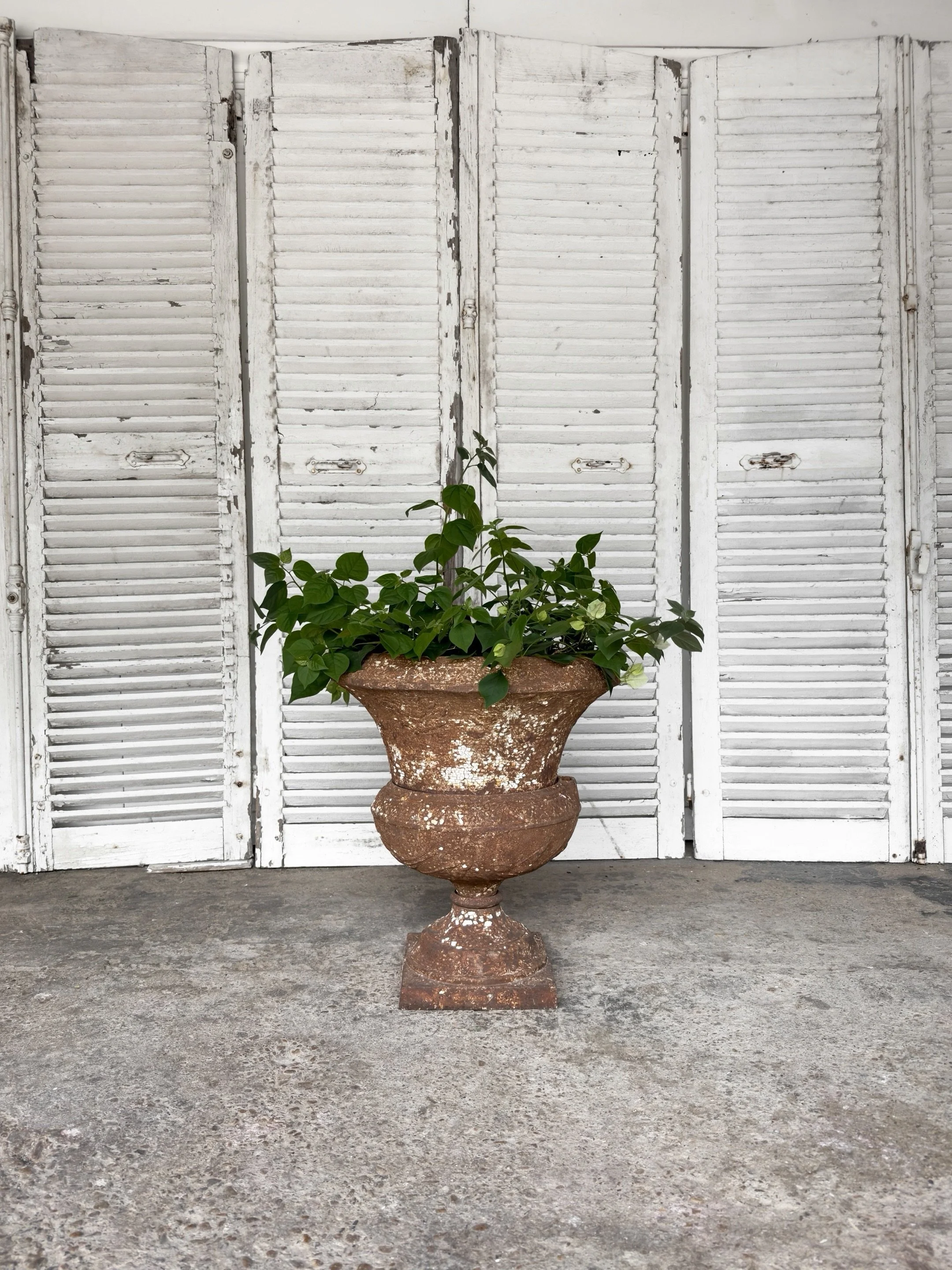 Some things only get better when time gets involved.

Made in England during the Victorian era, this cast iron garden urn has spent well over a century developing the kind of surface we&rsquo;re always searching for&mdash;deep russet oxidation with s