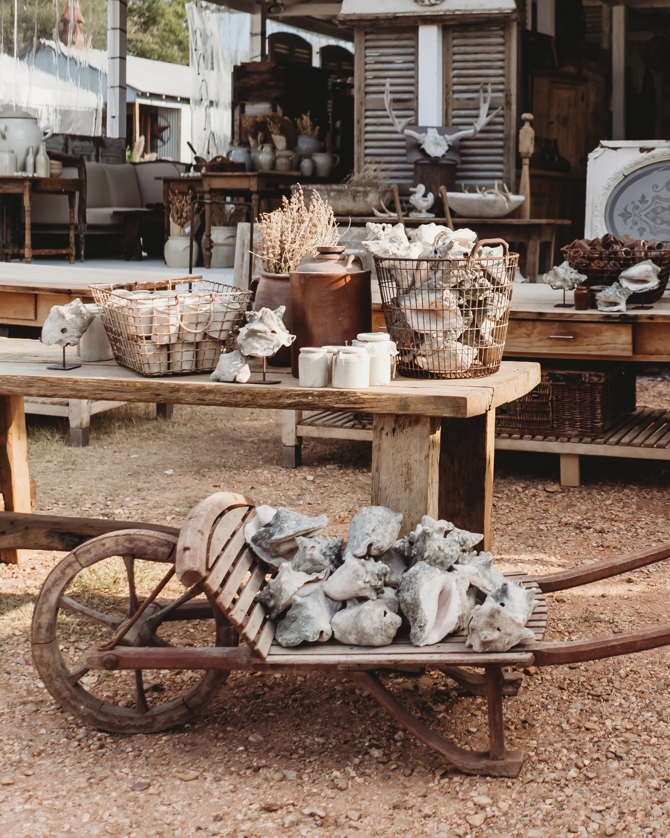 Buy the weird stuff. 🤎

The turtle shell. The emu egg. The architectural fragment. The odd little object you can&rsquo;t quite explain but can&rsquo;t stop thinking about either.

Those are the pieces that keep a room from feeling too finished.

Tuc