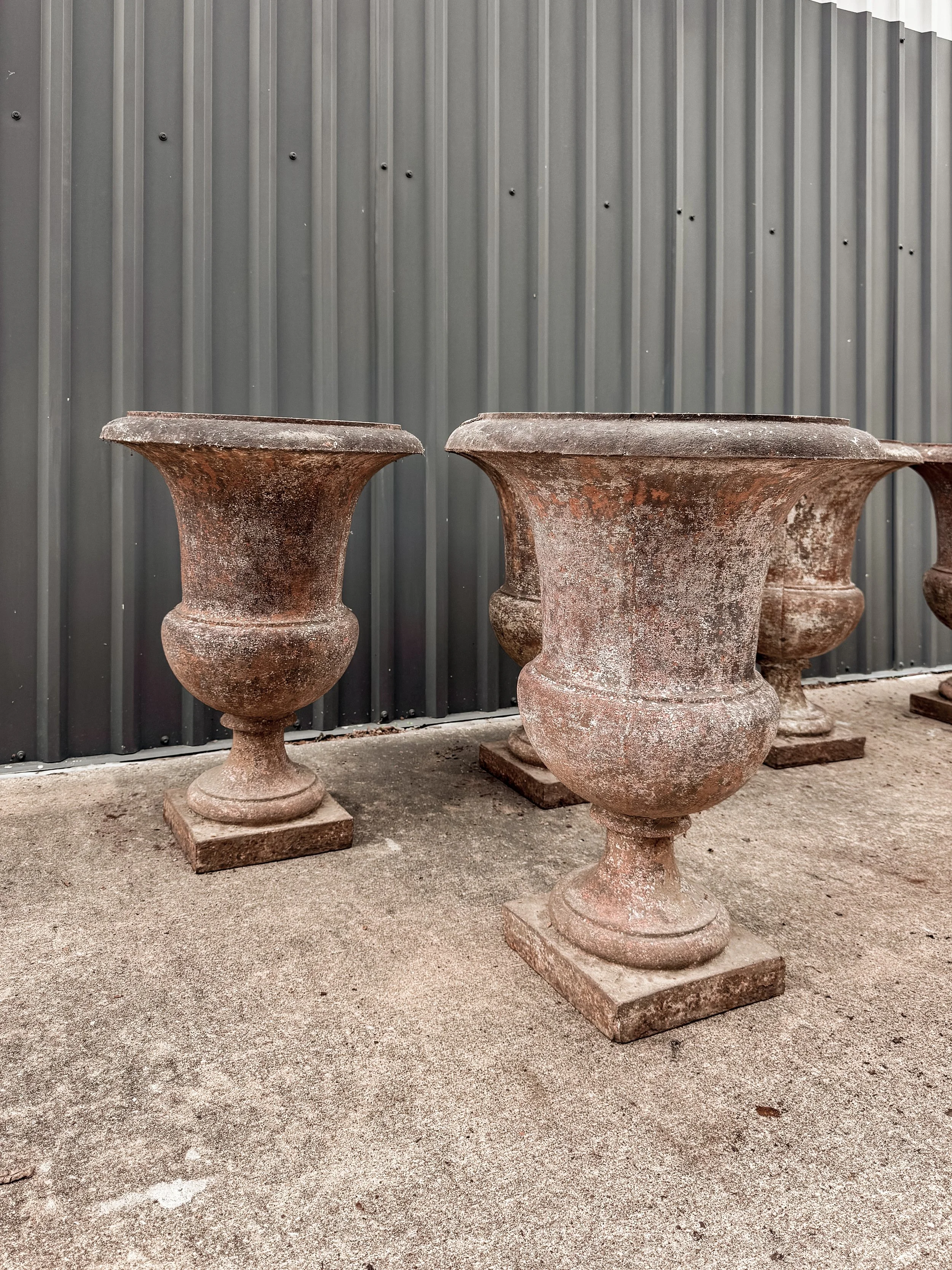 Antique French Cast Iron Medicis Campana Garden Urns