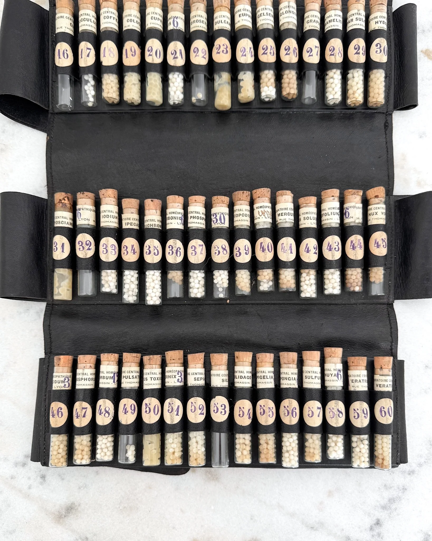 Antique French Homeopathic Leather Travel Case