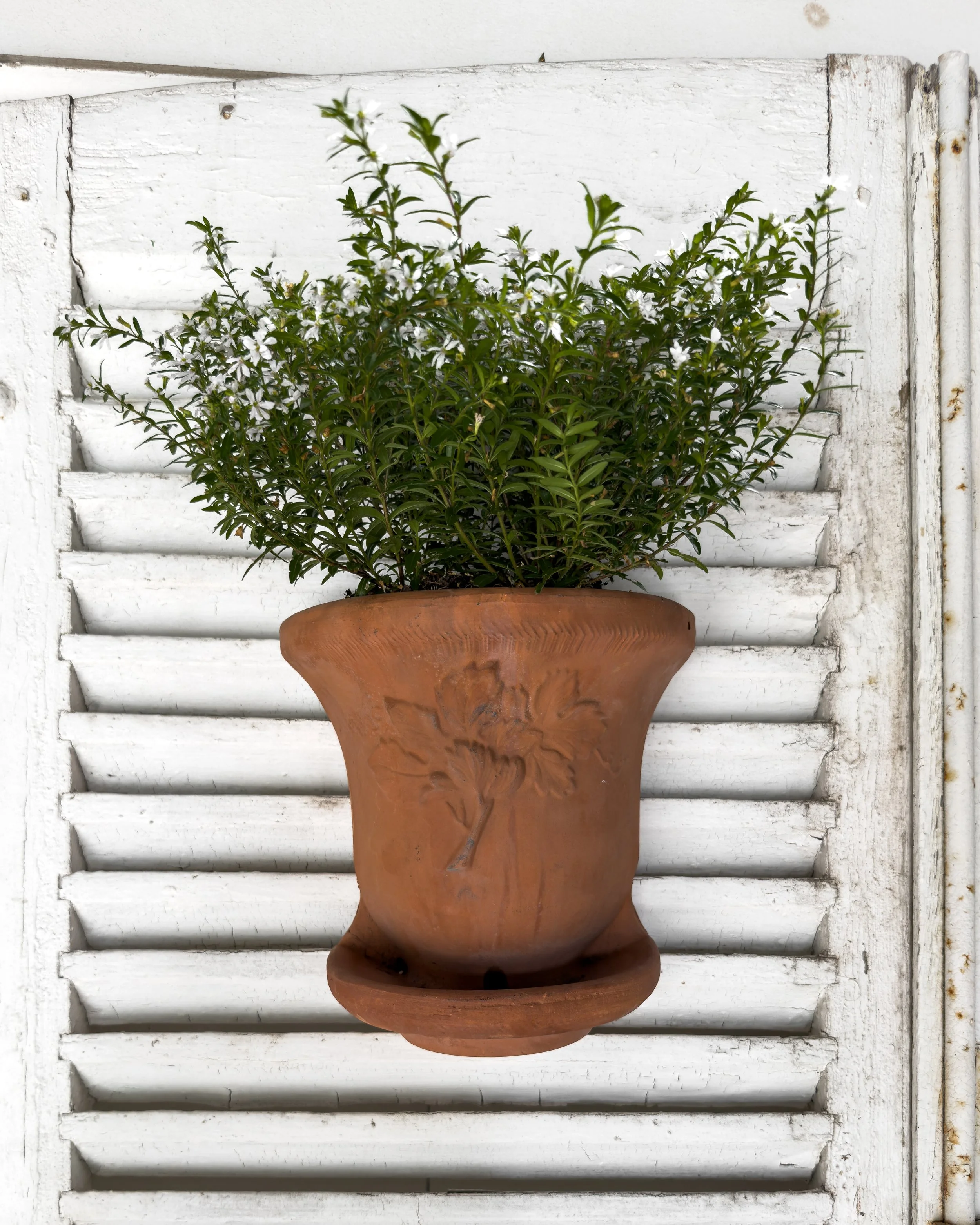 Vintage Terracotta Wall Mounted Flower Pots