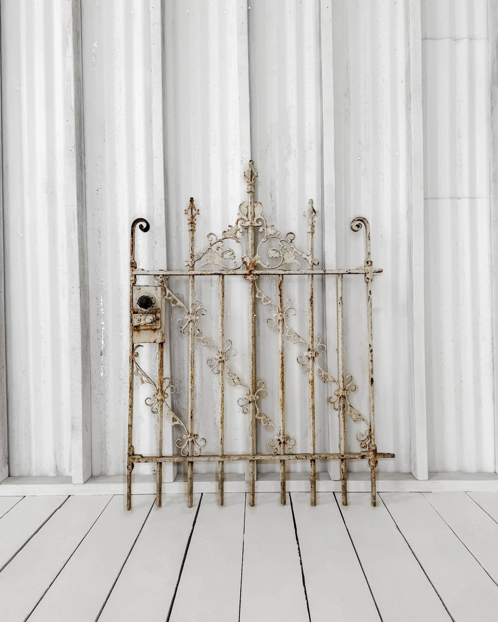 Decorative 19th Century Cast Iron Garden Gate