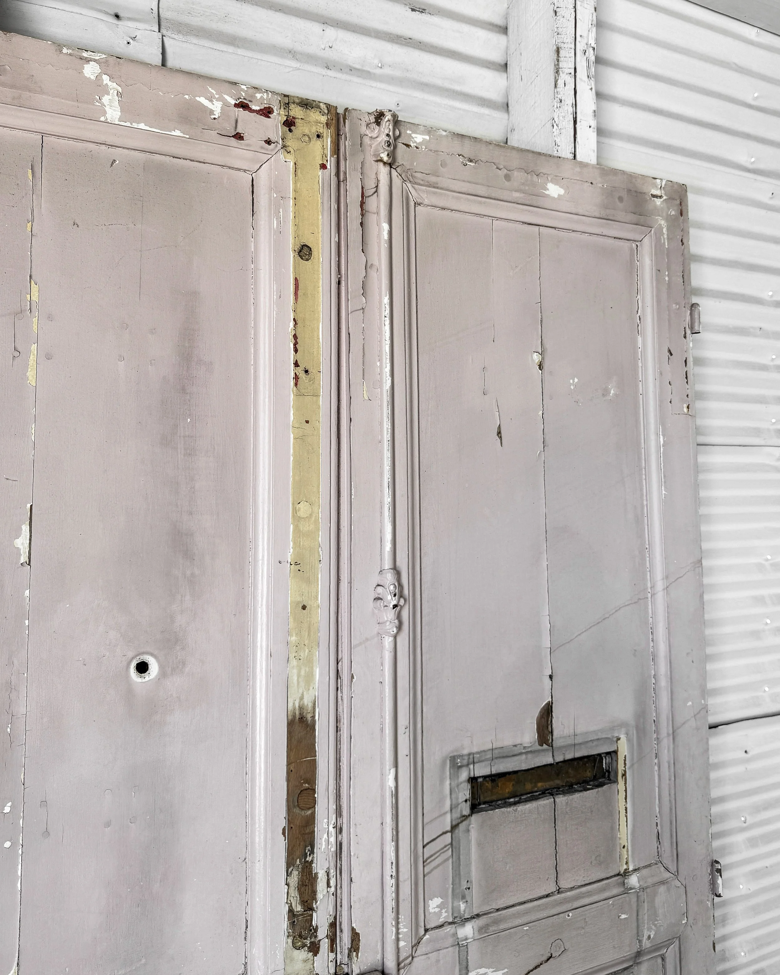 Salvaged 19th Century French Doors