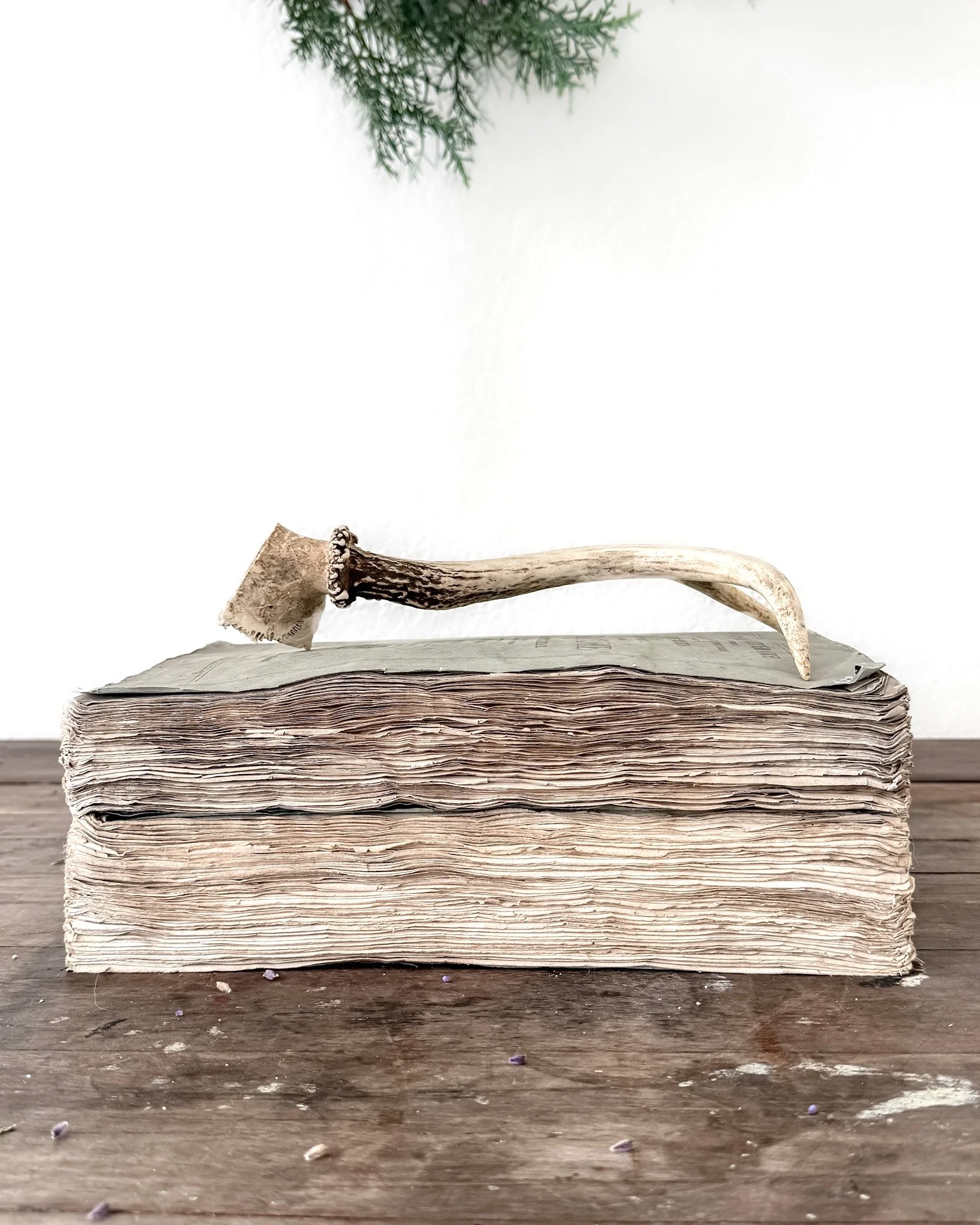 Natural Shed Deer Antlers