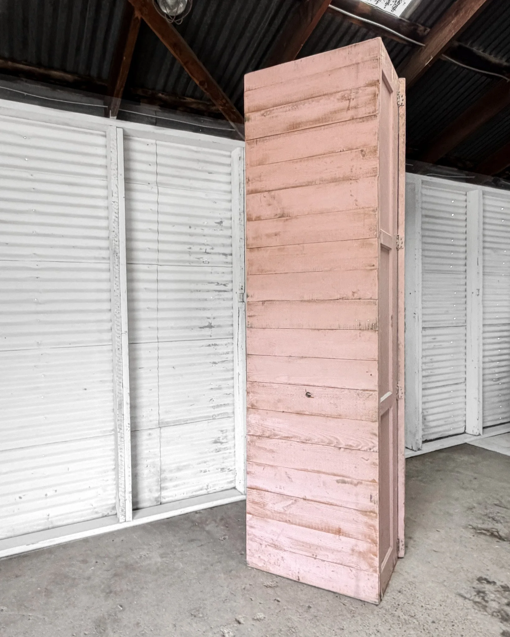 Reclaimed Paneled Cabinet with Wire Doors