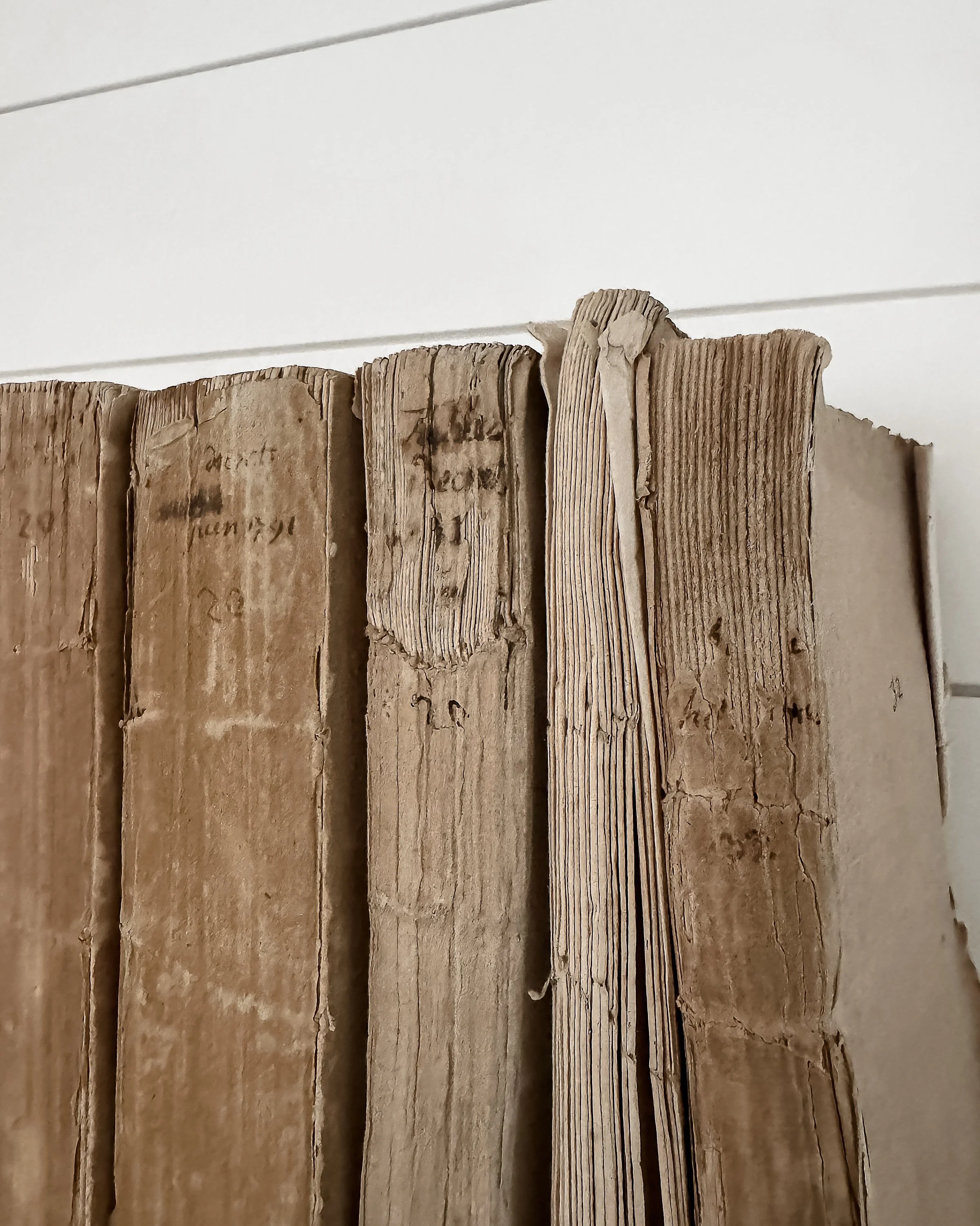 Set of 6 18th c. French Revolutionary Assembly Books