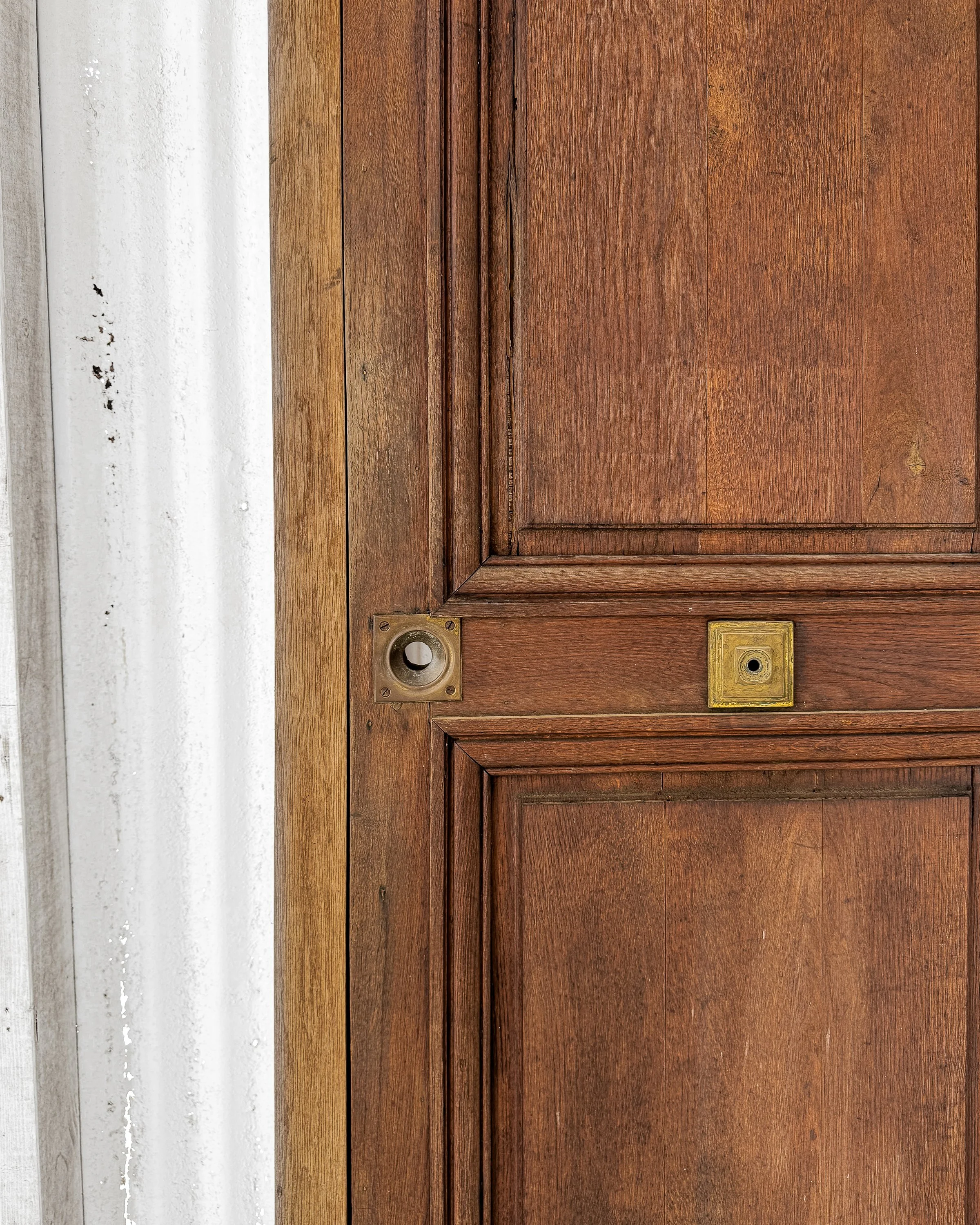 Salvaged Antique French Door
