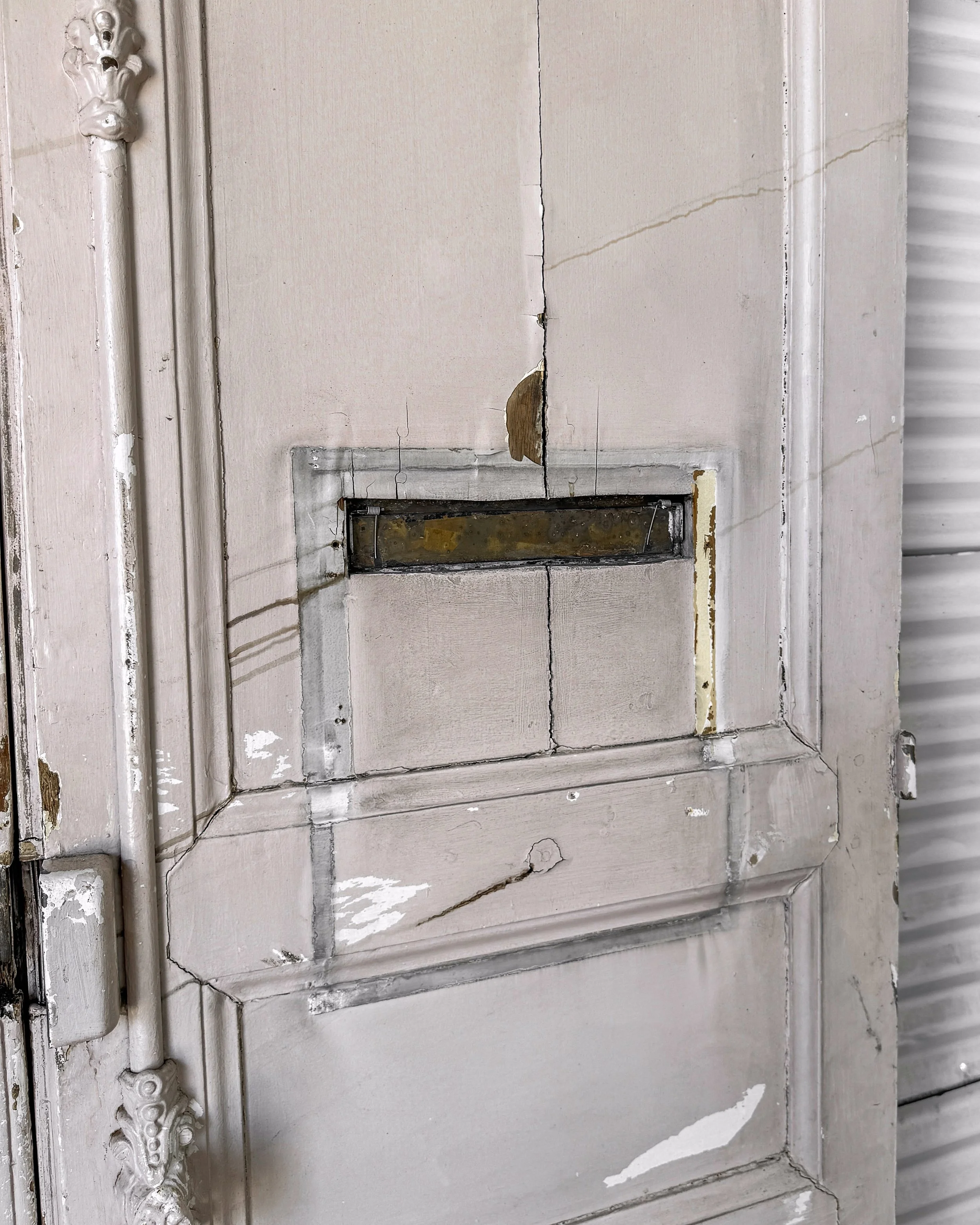 Salvaged 19th Century French Doors